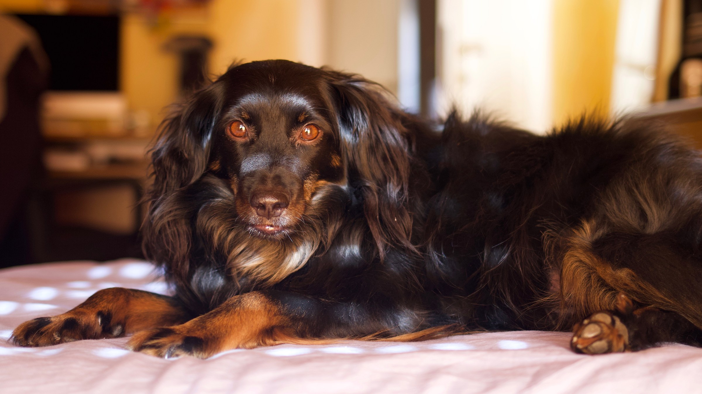 What do you have to look at?