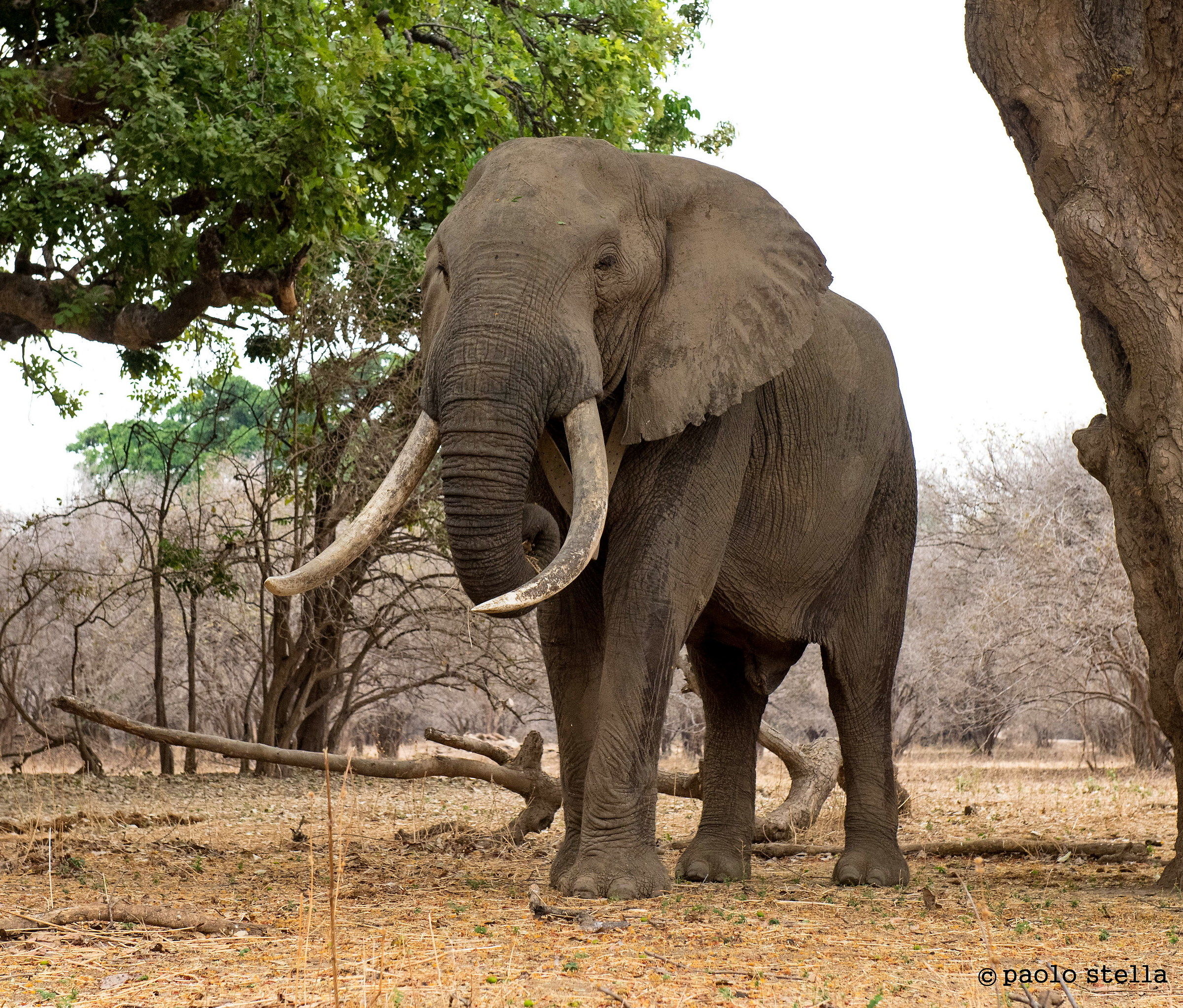 ai piedi di 5000 kg.