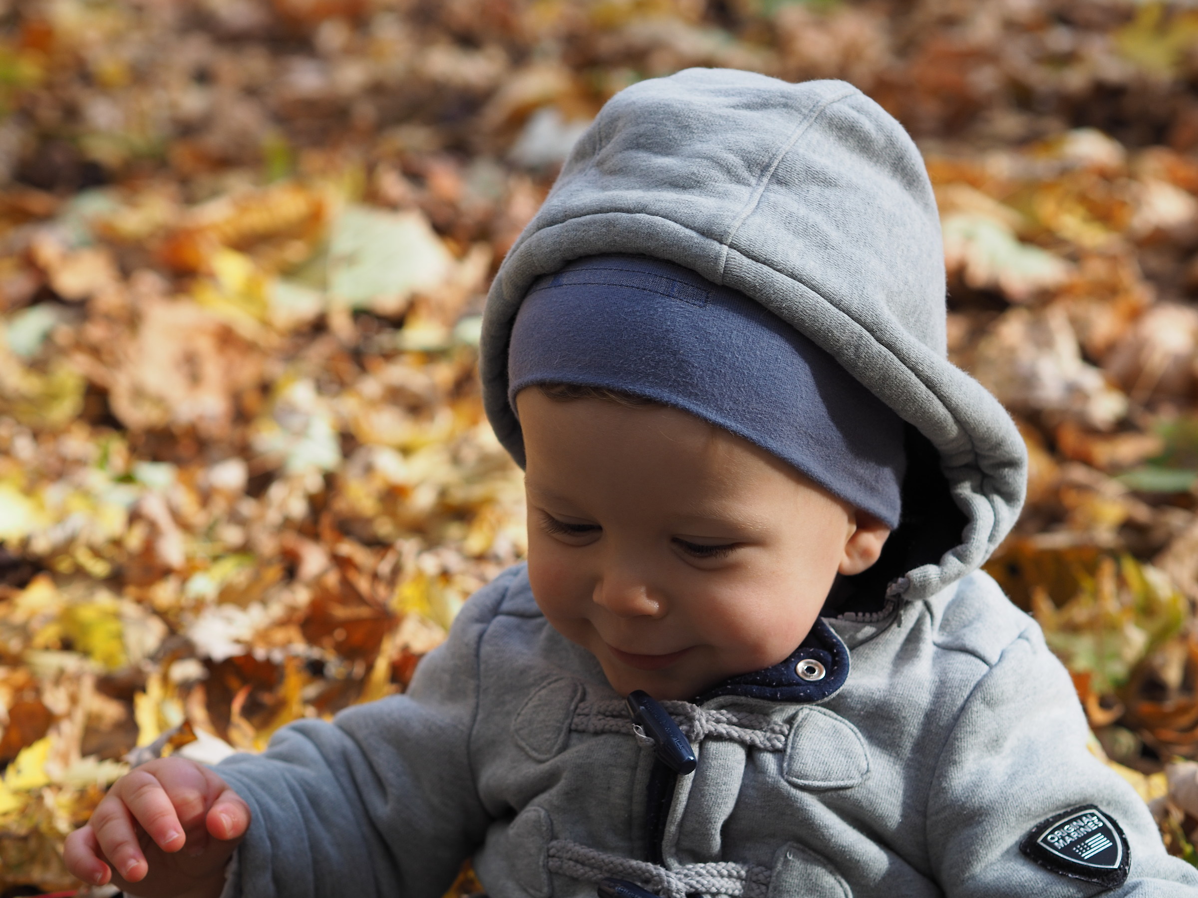 Autunno a San Mauro 2