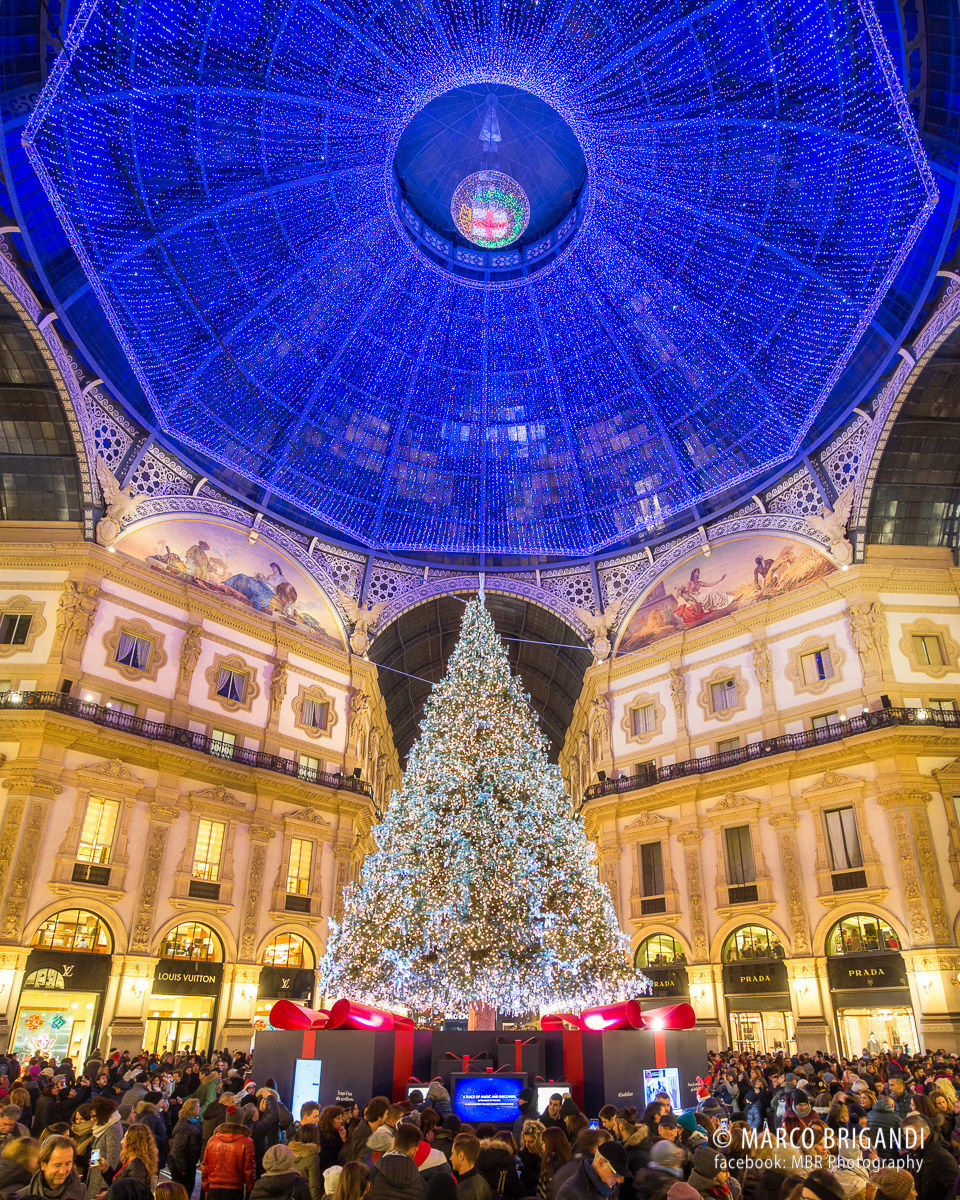 Christmas in the Gallery