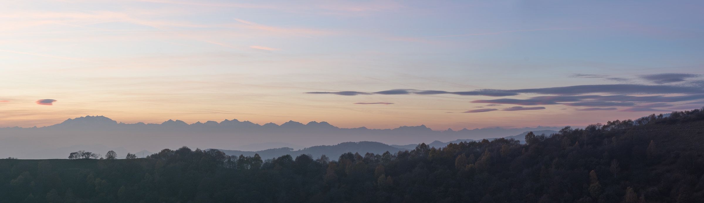 Silhouette of the Rose