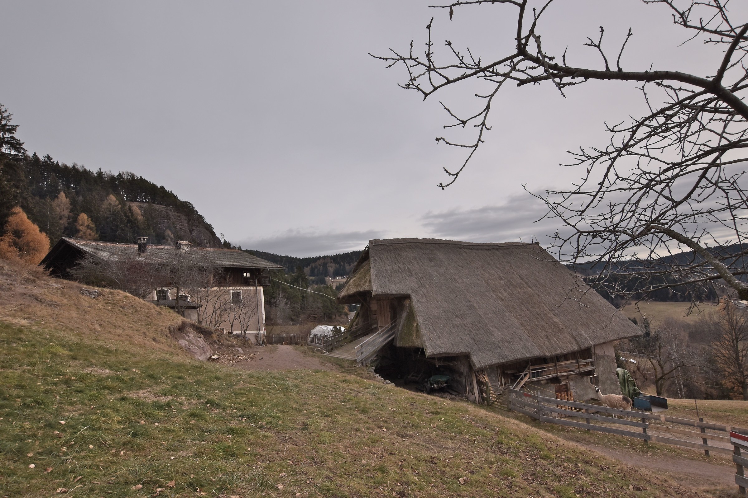Masi with thatched roofs