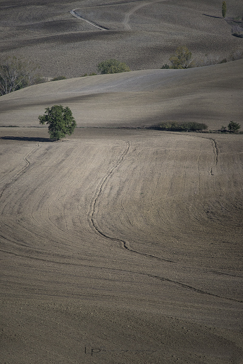 Val d'Orcia