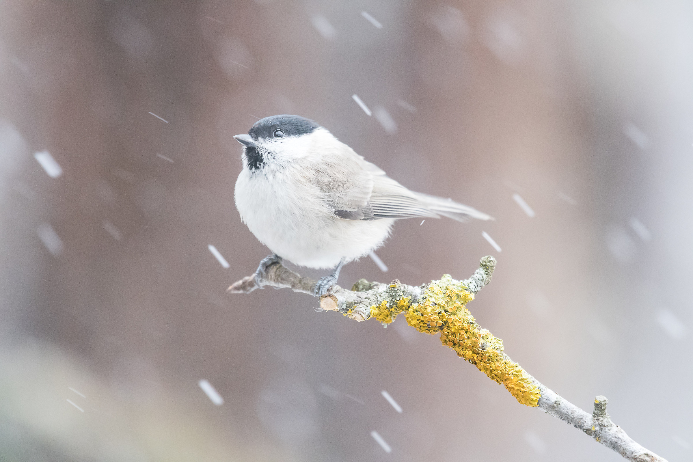 When will you stop ...?