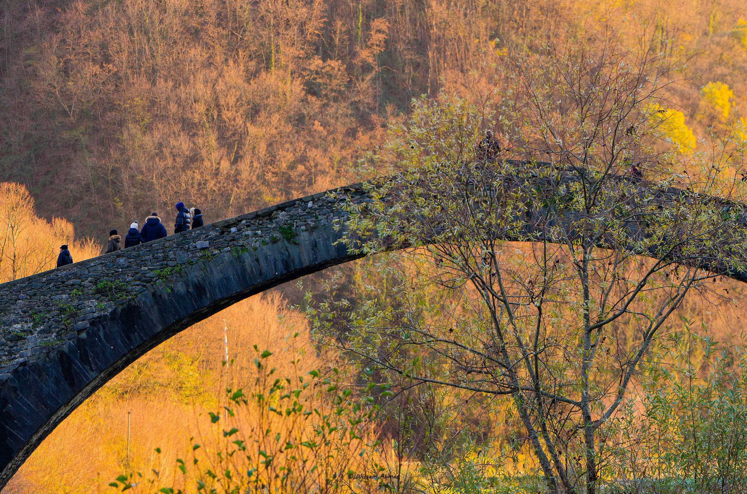 Ponte della Maddalena insolita quadratura