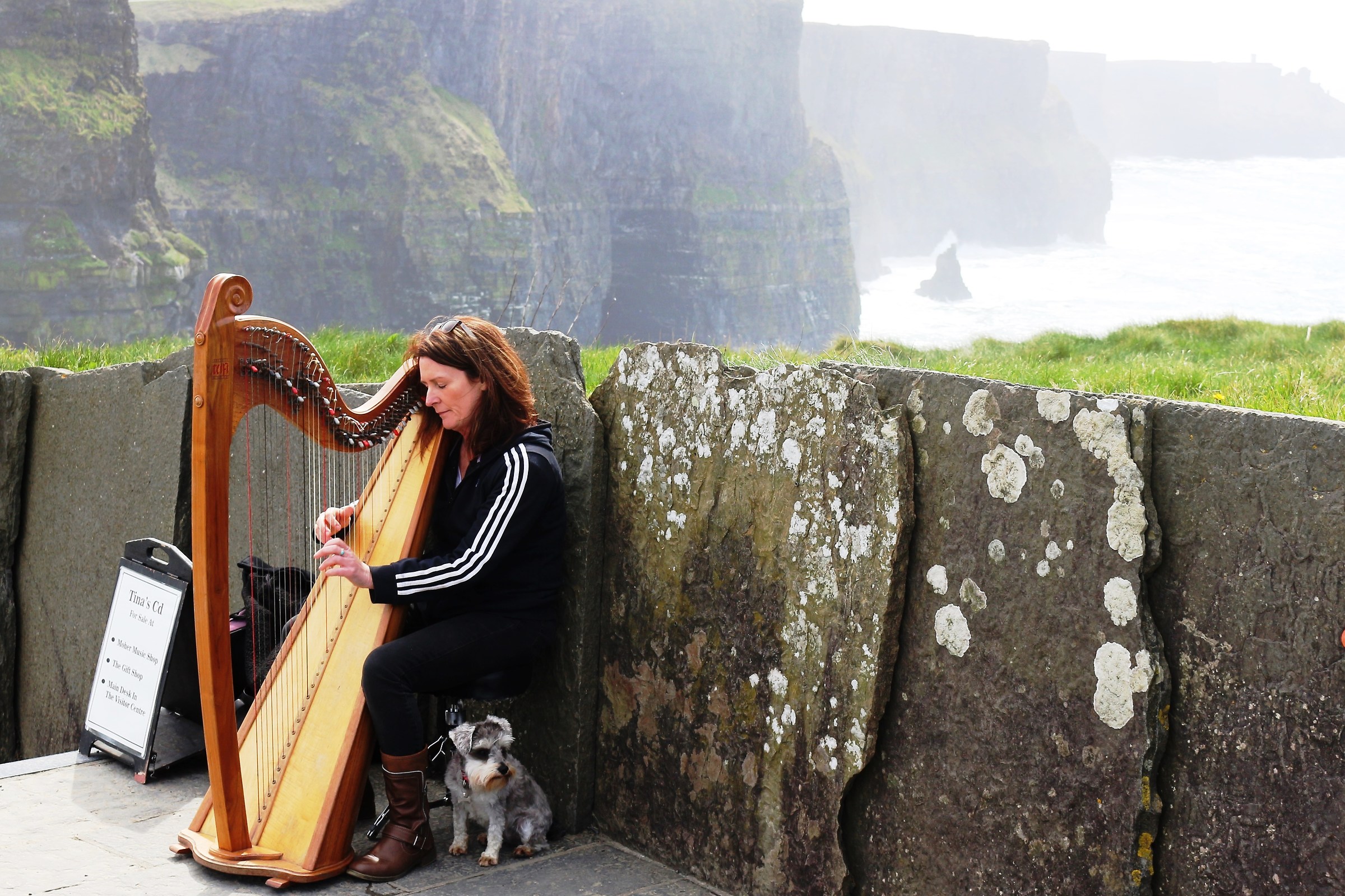 harp player on the Irish cliffs