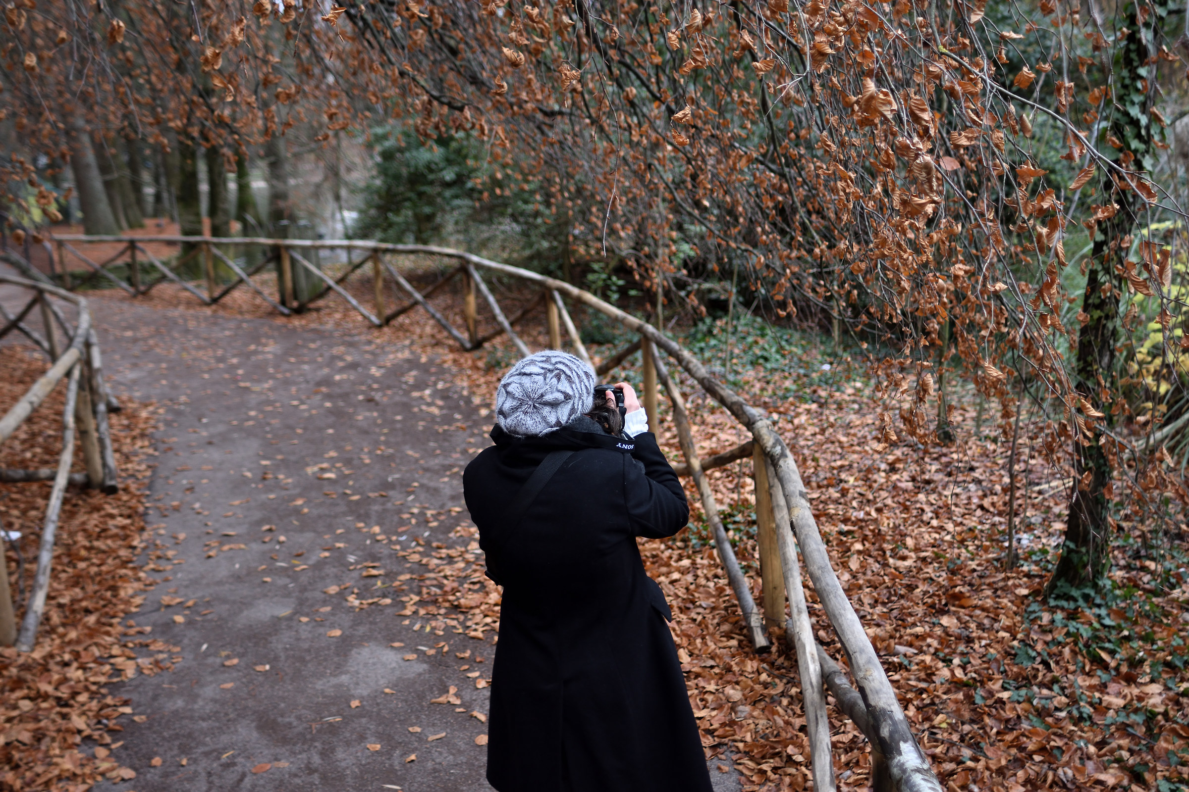 Afternoon gloomy at the park