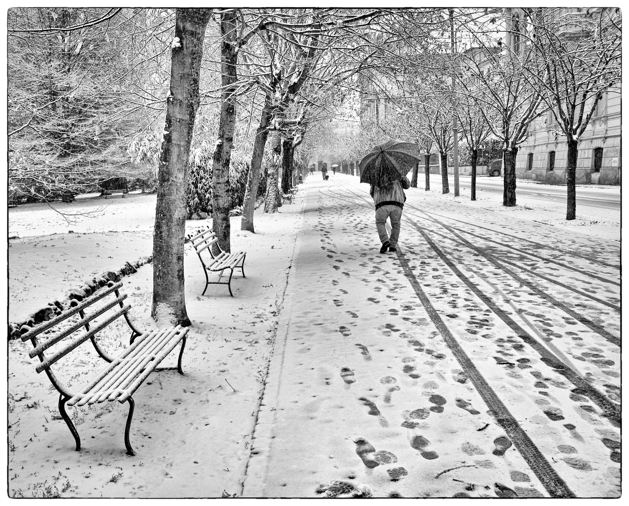 Avenue of the sunset