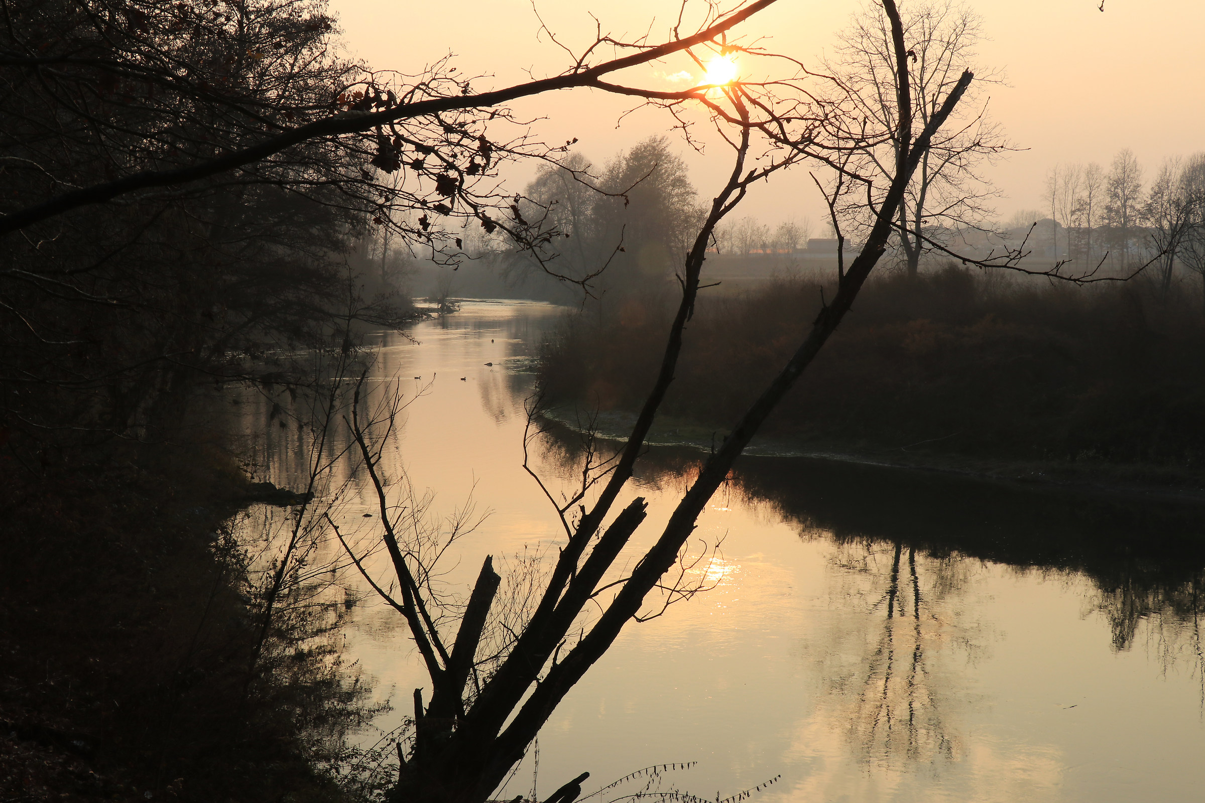Il fiume Po a Villafranca Piemonte/2