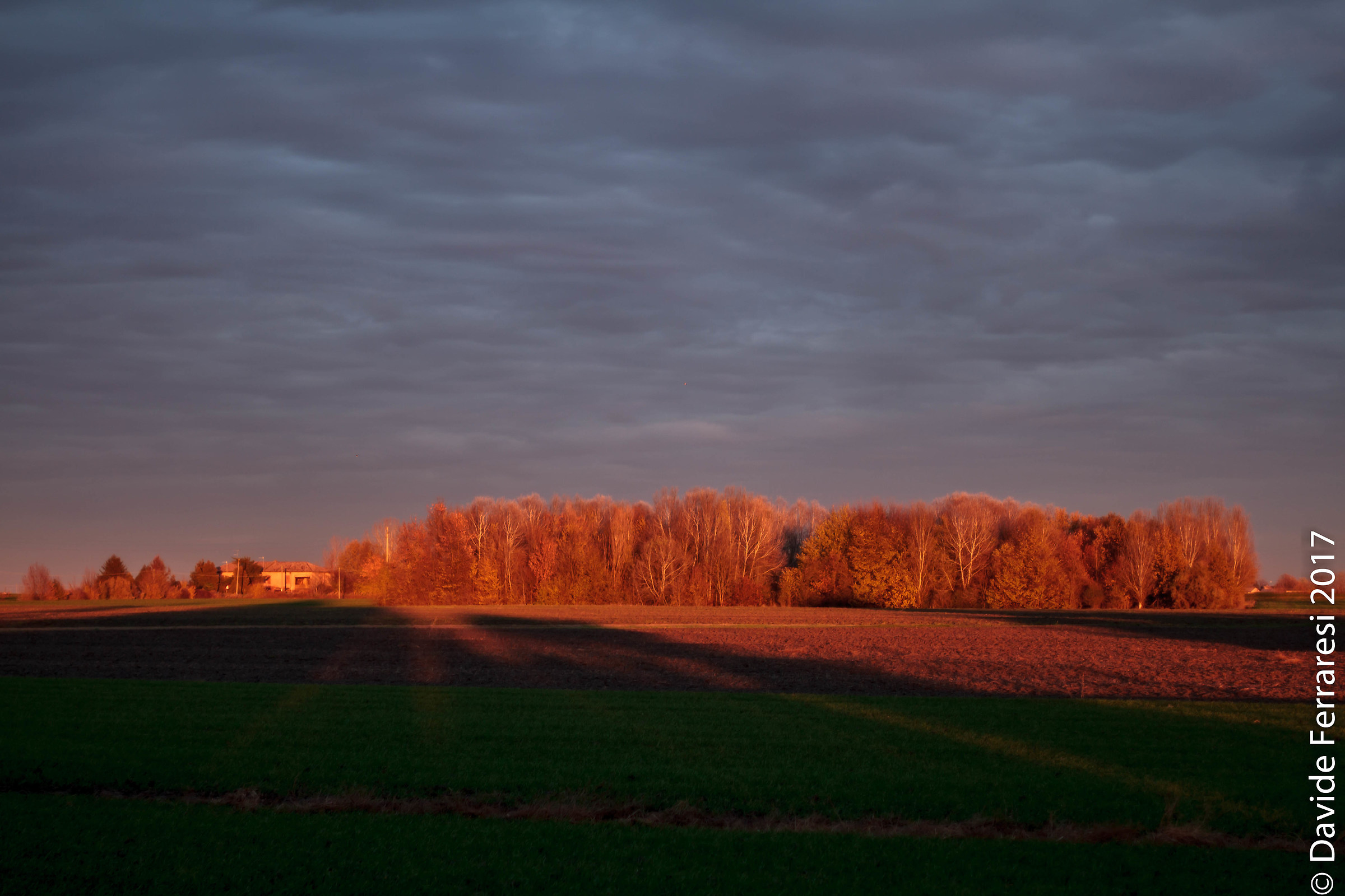 Long shadows (Canon 7D Nikkor 2 / 50mm)