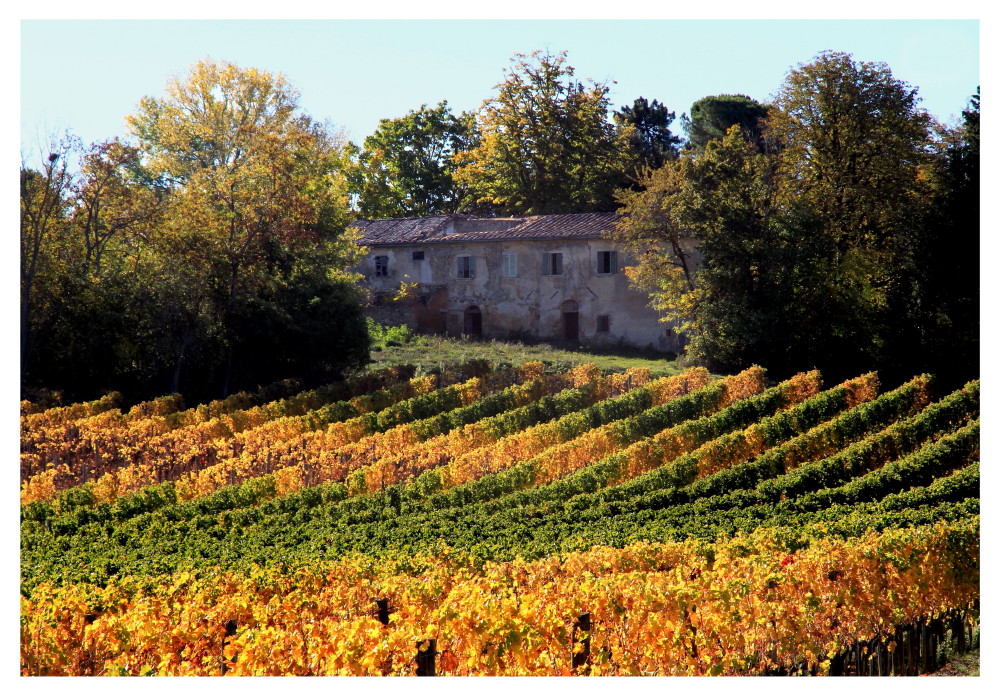 Where Brunello di Montalcino_01 is born
