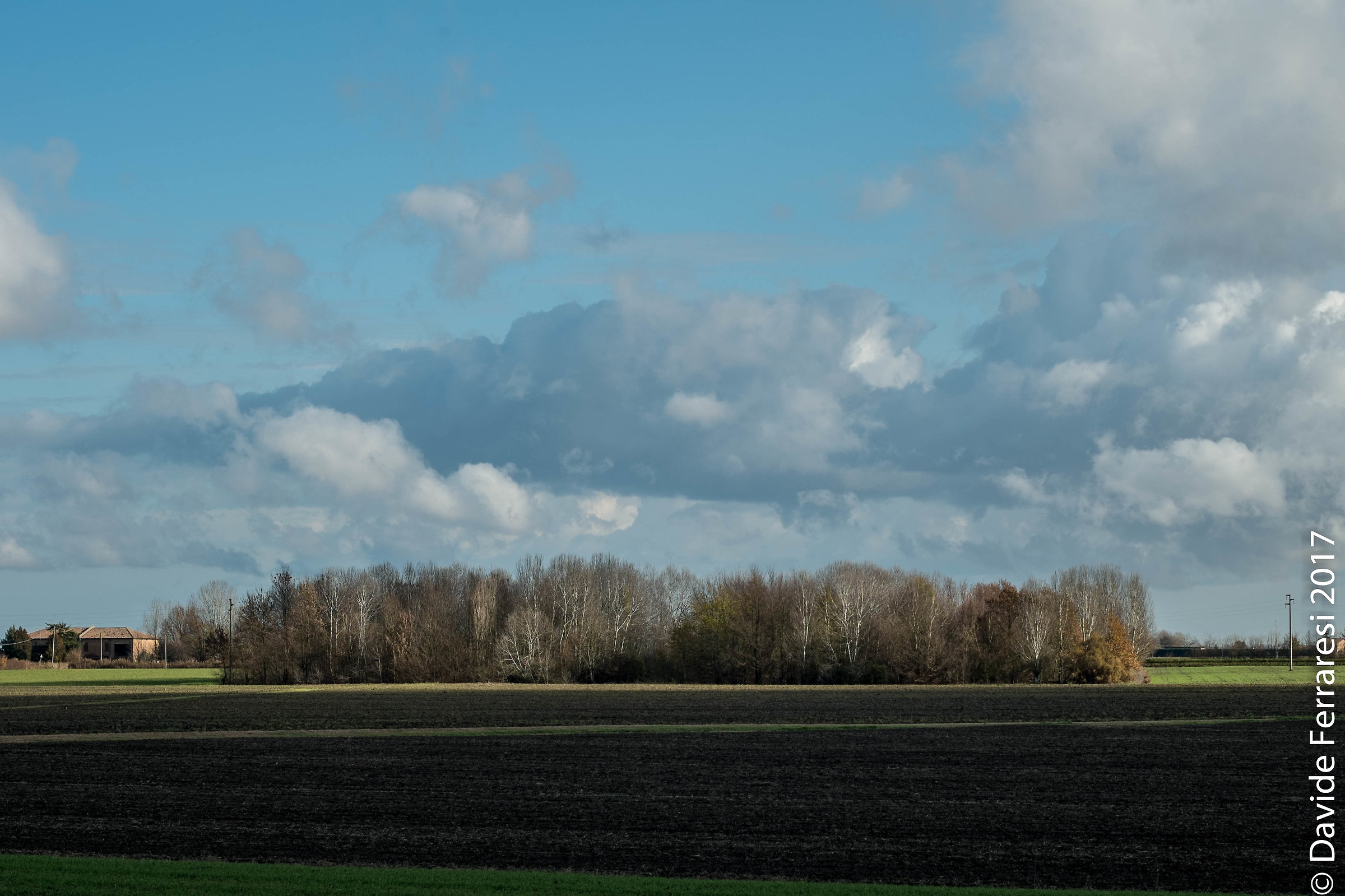 Landscape (x and 1 Nikkor 2 / 50mm)