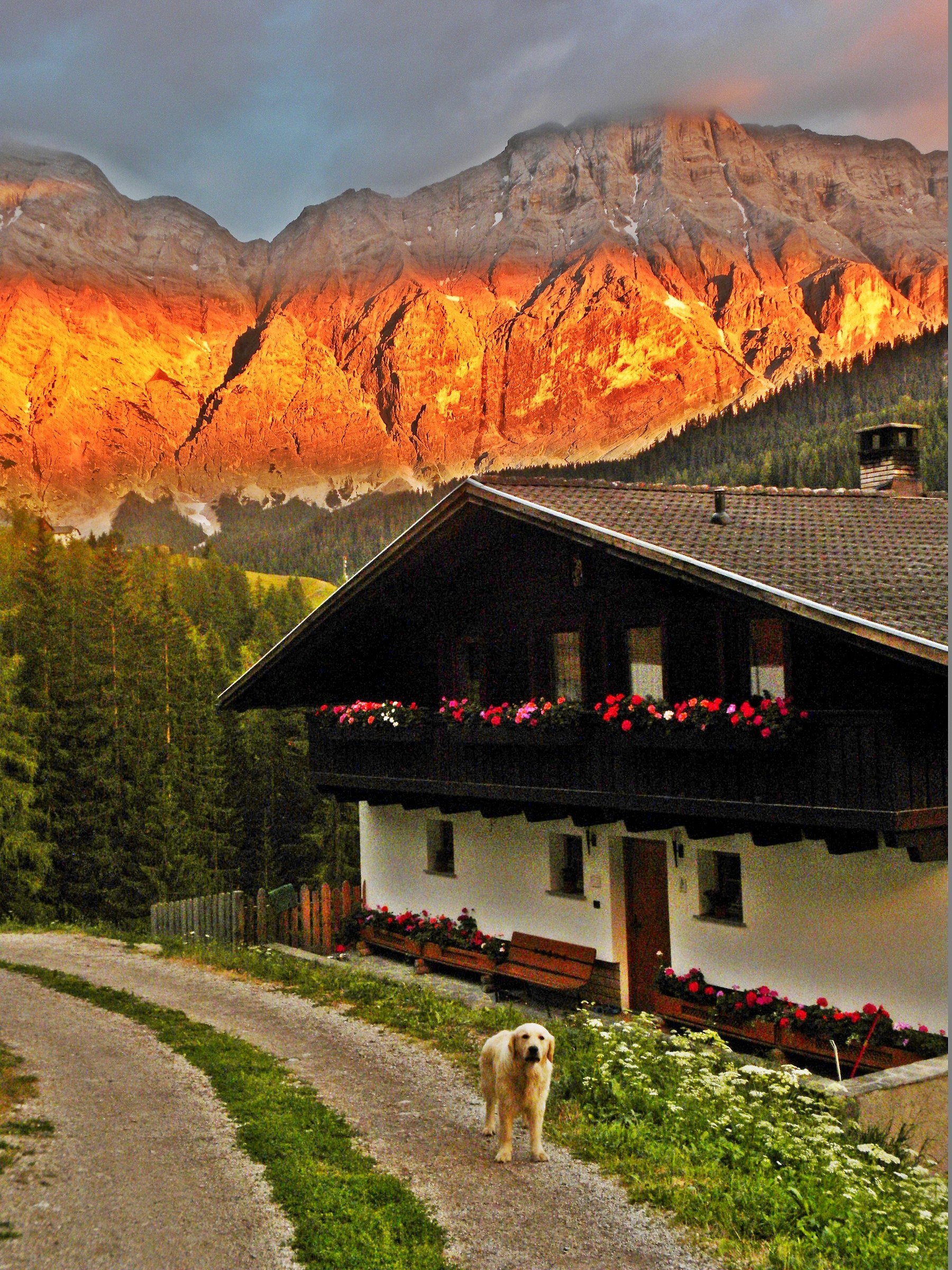 1717 - arriving home