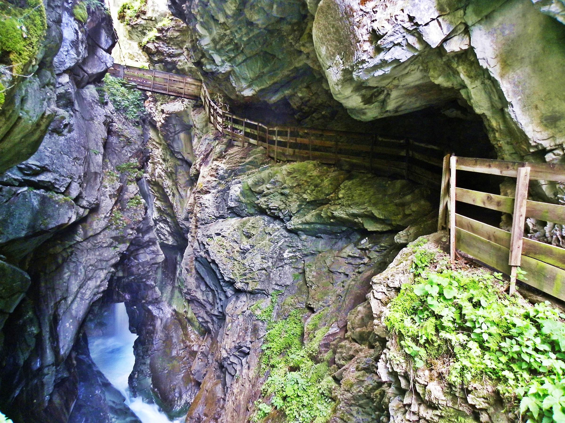 2030 - the beauty of the horror