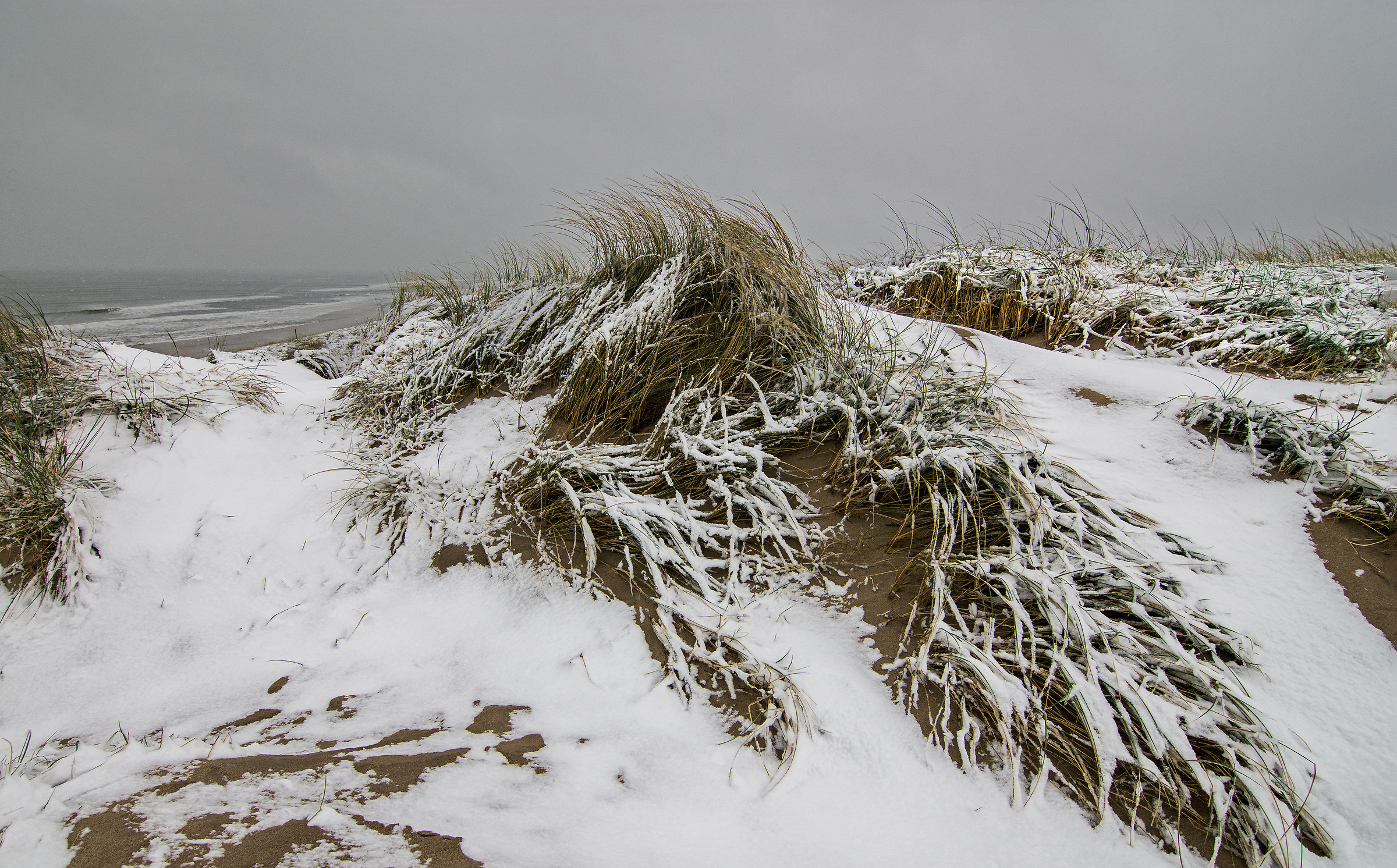 snowstorm along the coast