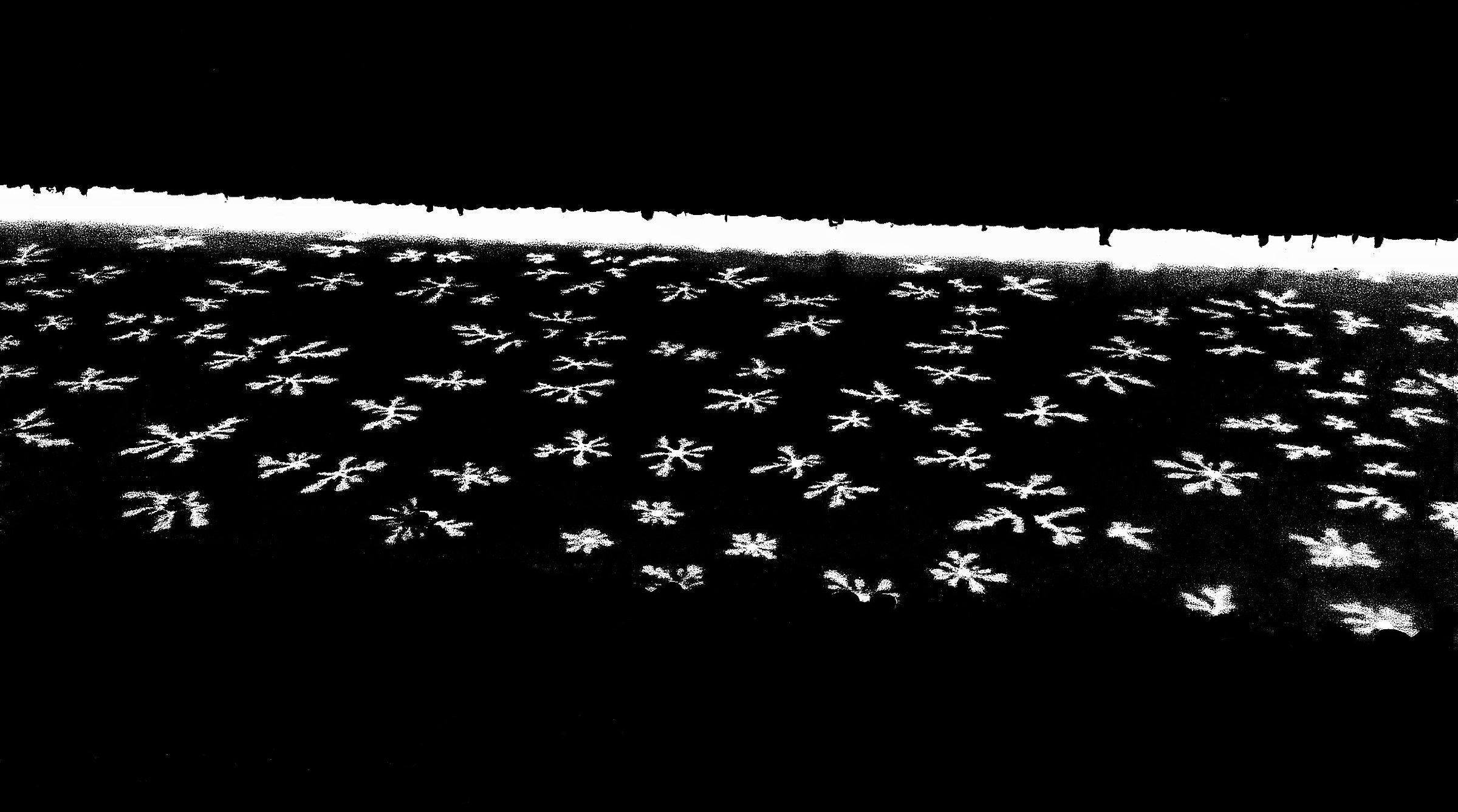 Cristalli invernali...