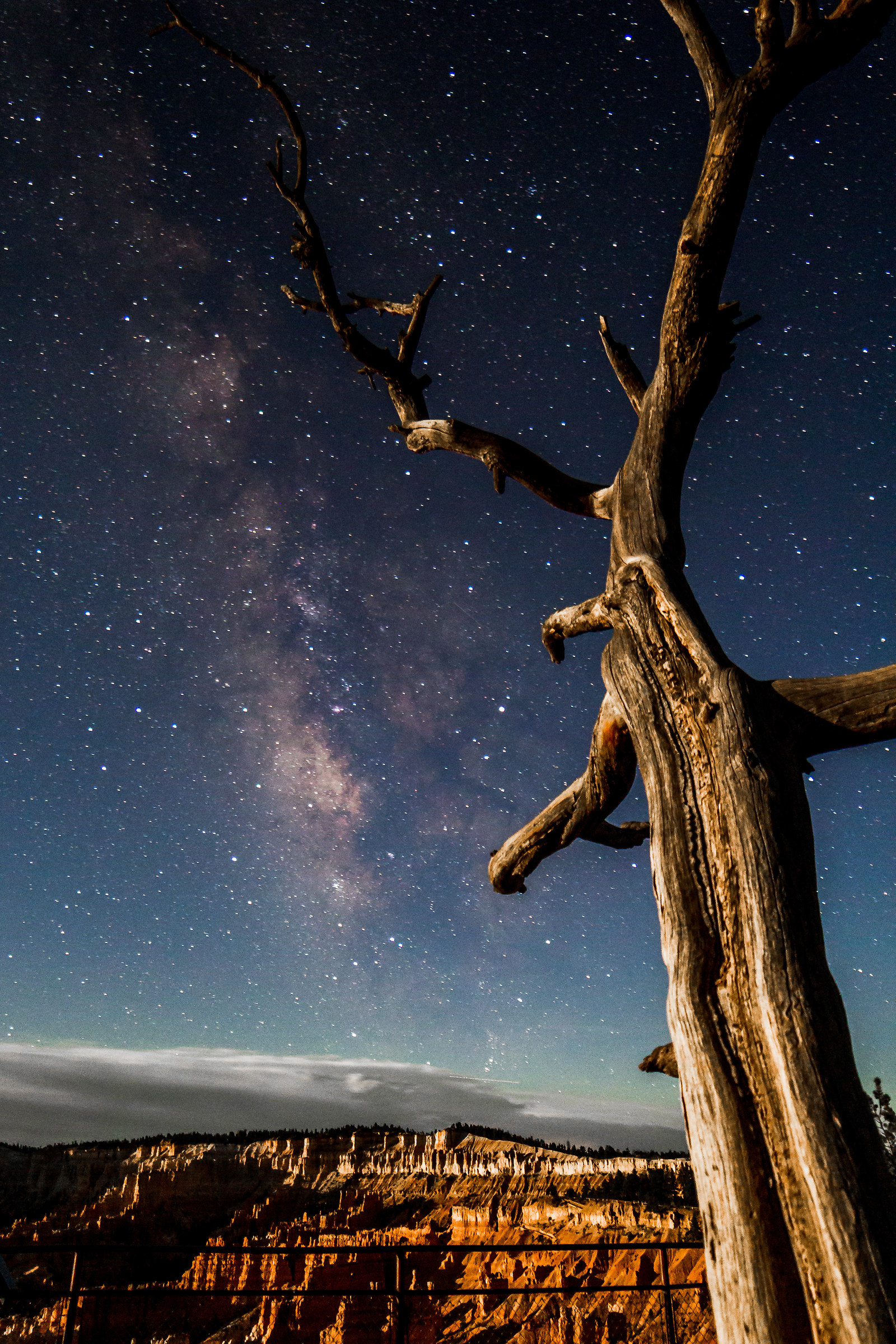 Milky Way on Bryce Canyon