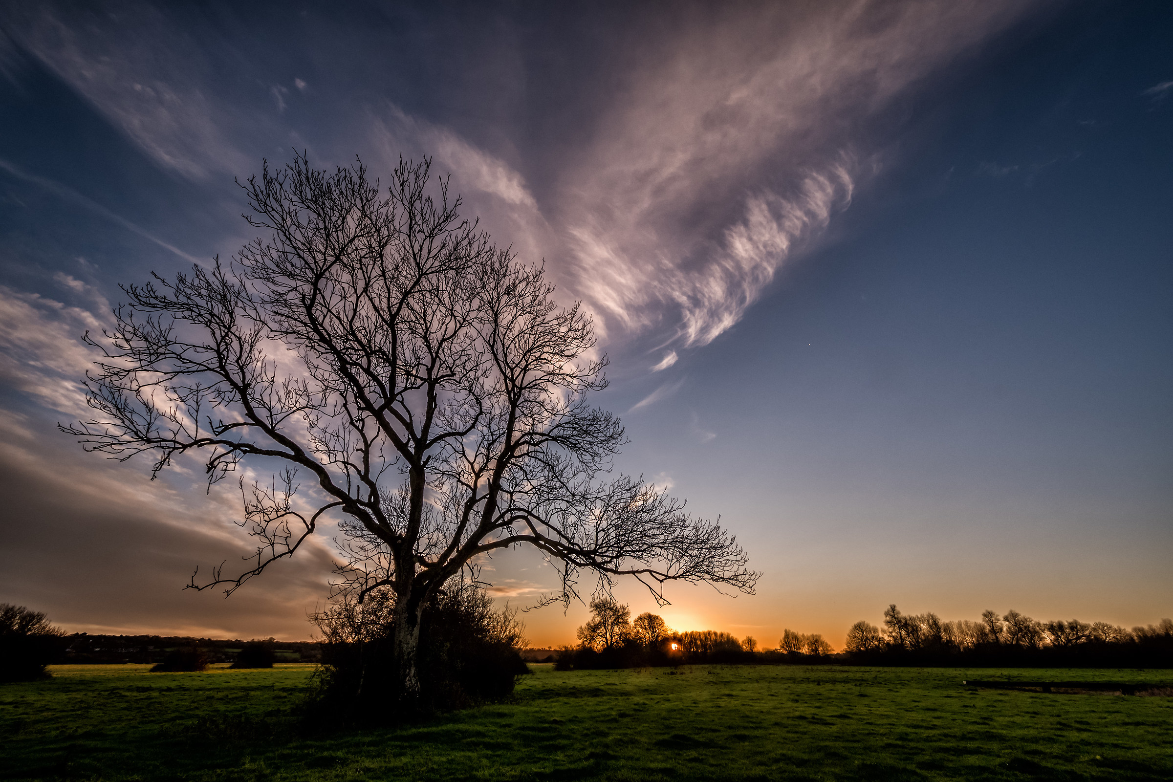 A Winter Tree At Sunset
