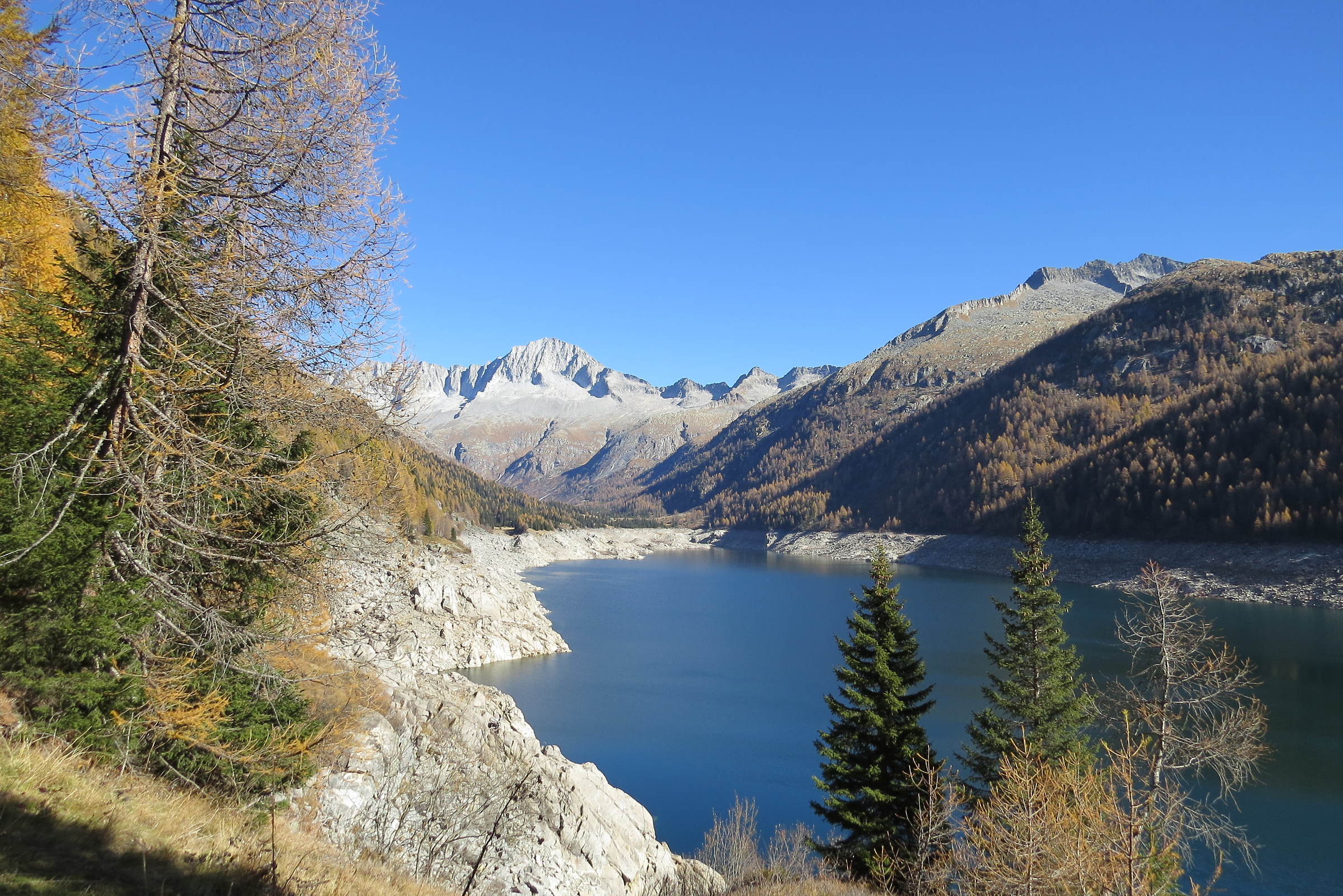 Carè Alto dalla Malga Bissina