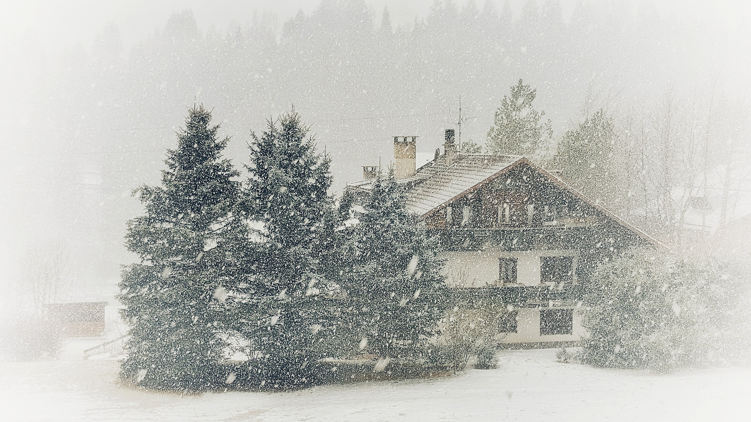 8 Dicembre: cade la neve