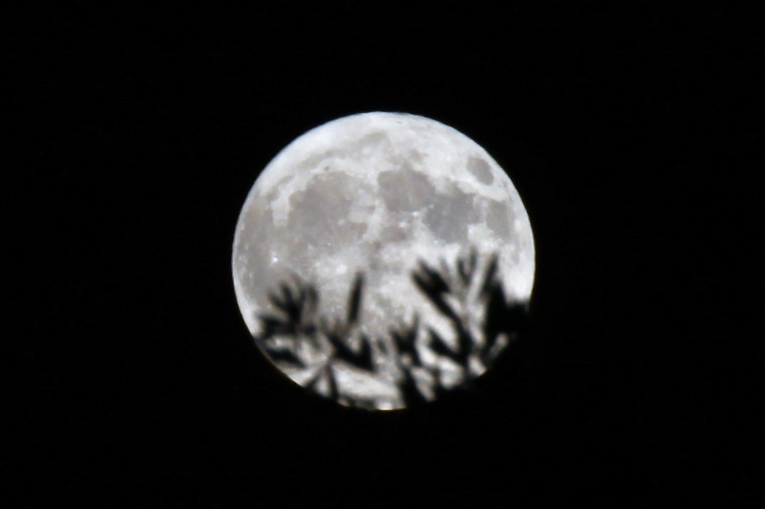 Ciaula discovers the moon!