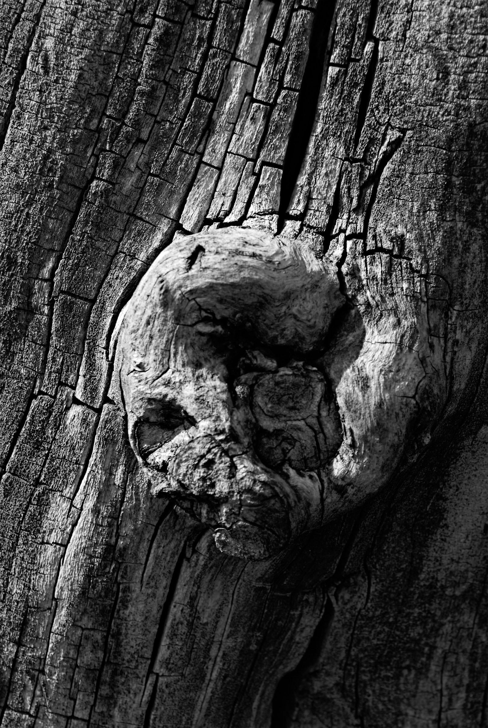 Old age