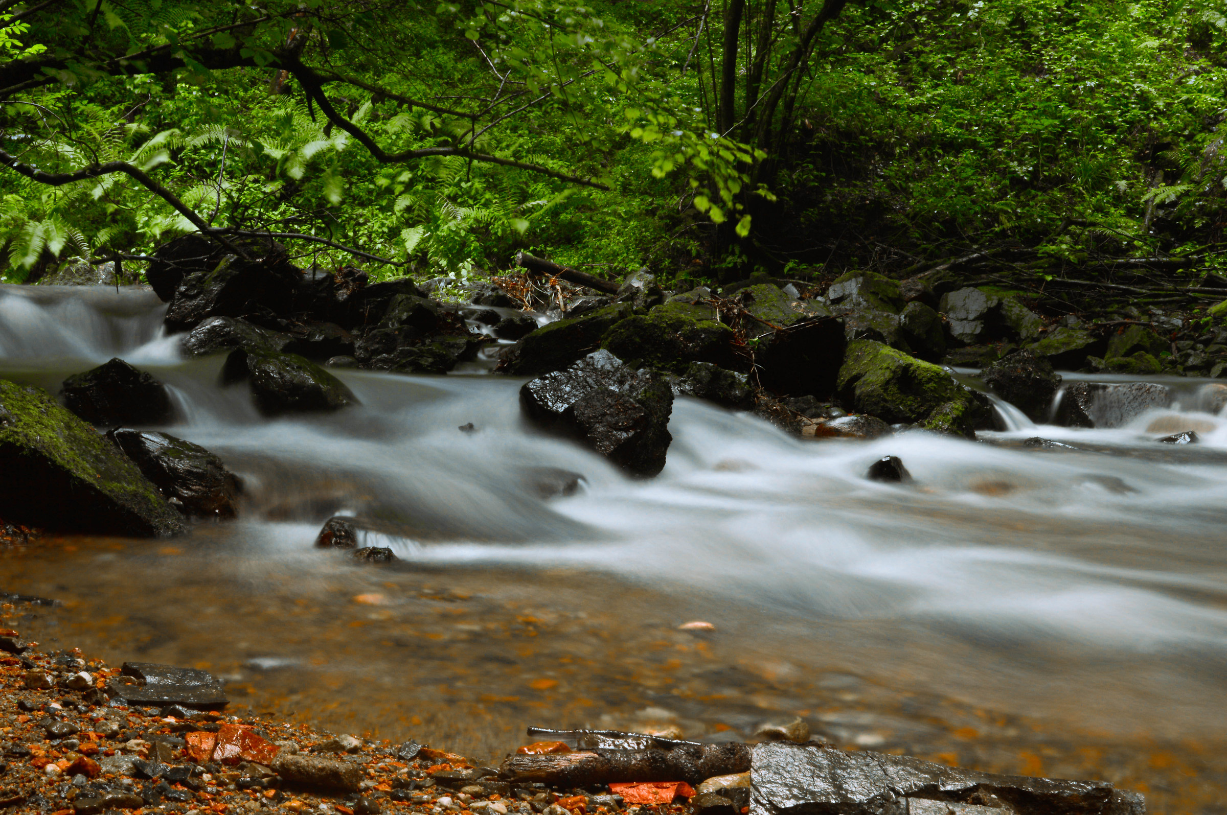 Silk at the field of flowers