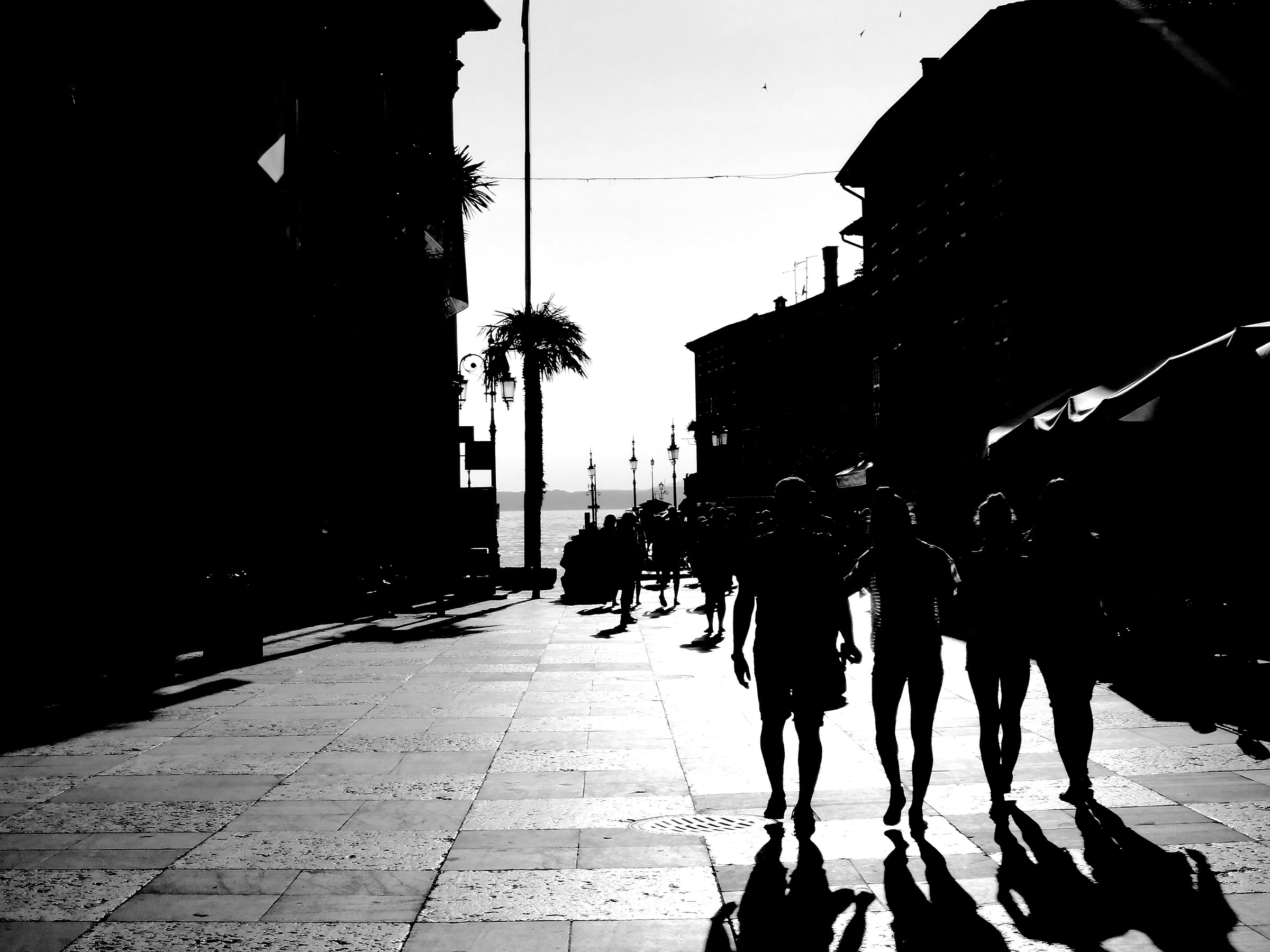 profiles with shadows