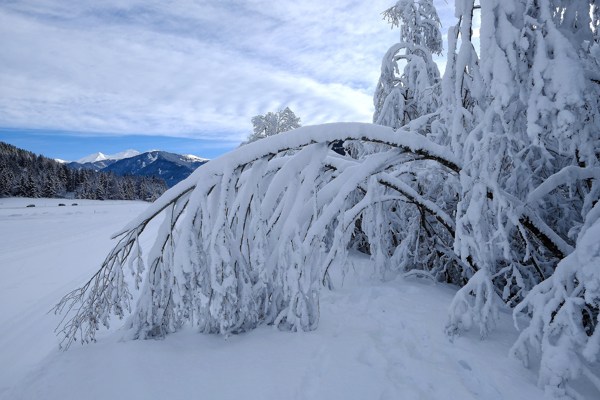 I bend myself but I do not break.