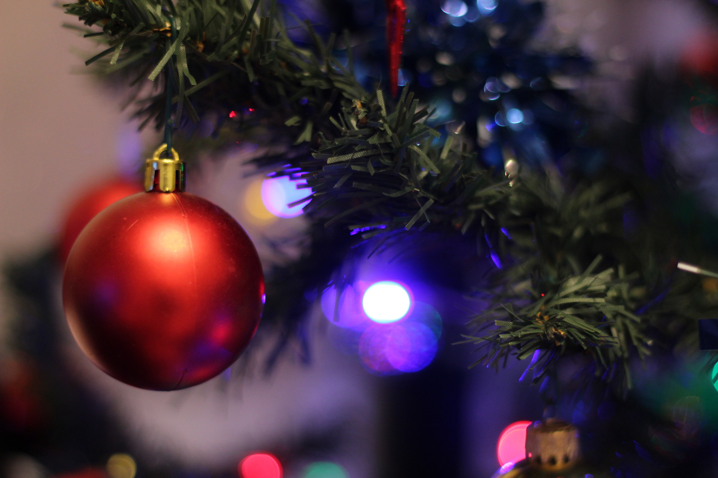 Lights and magic of Christmas