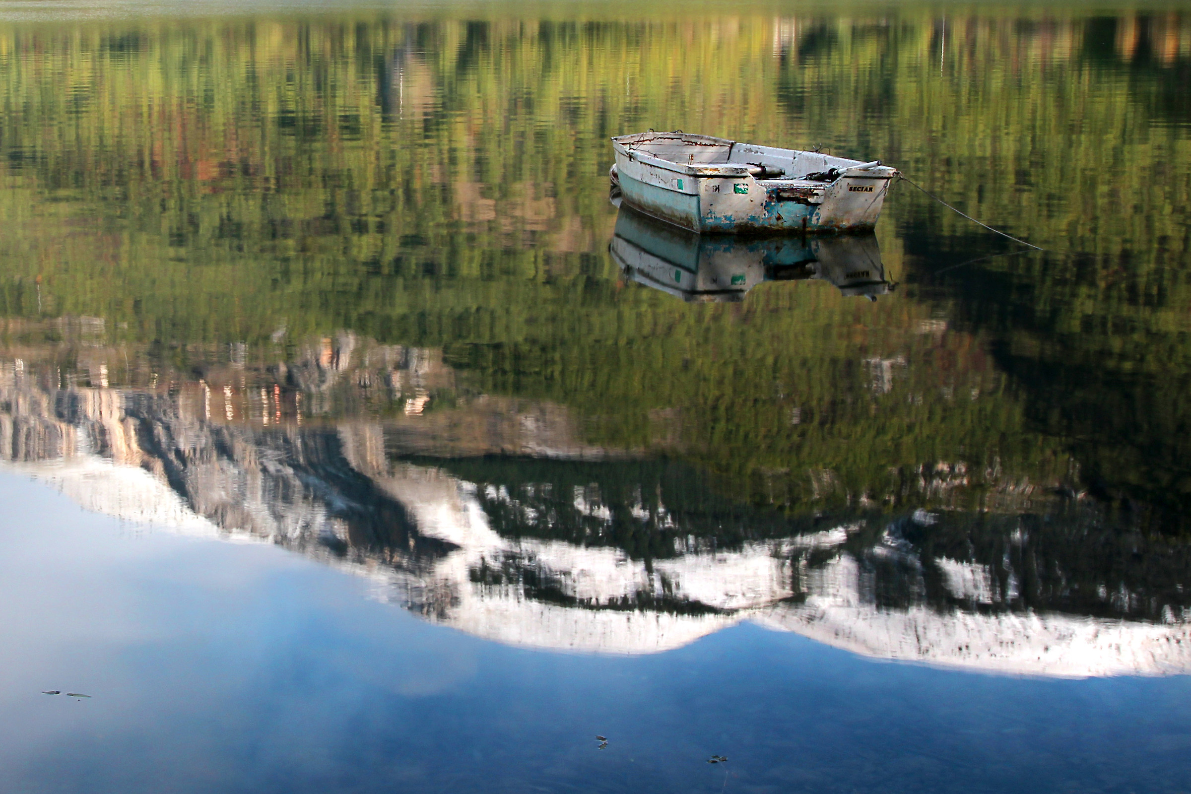 Il mondo al rovescio