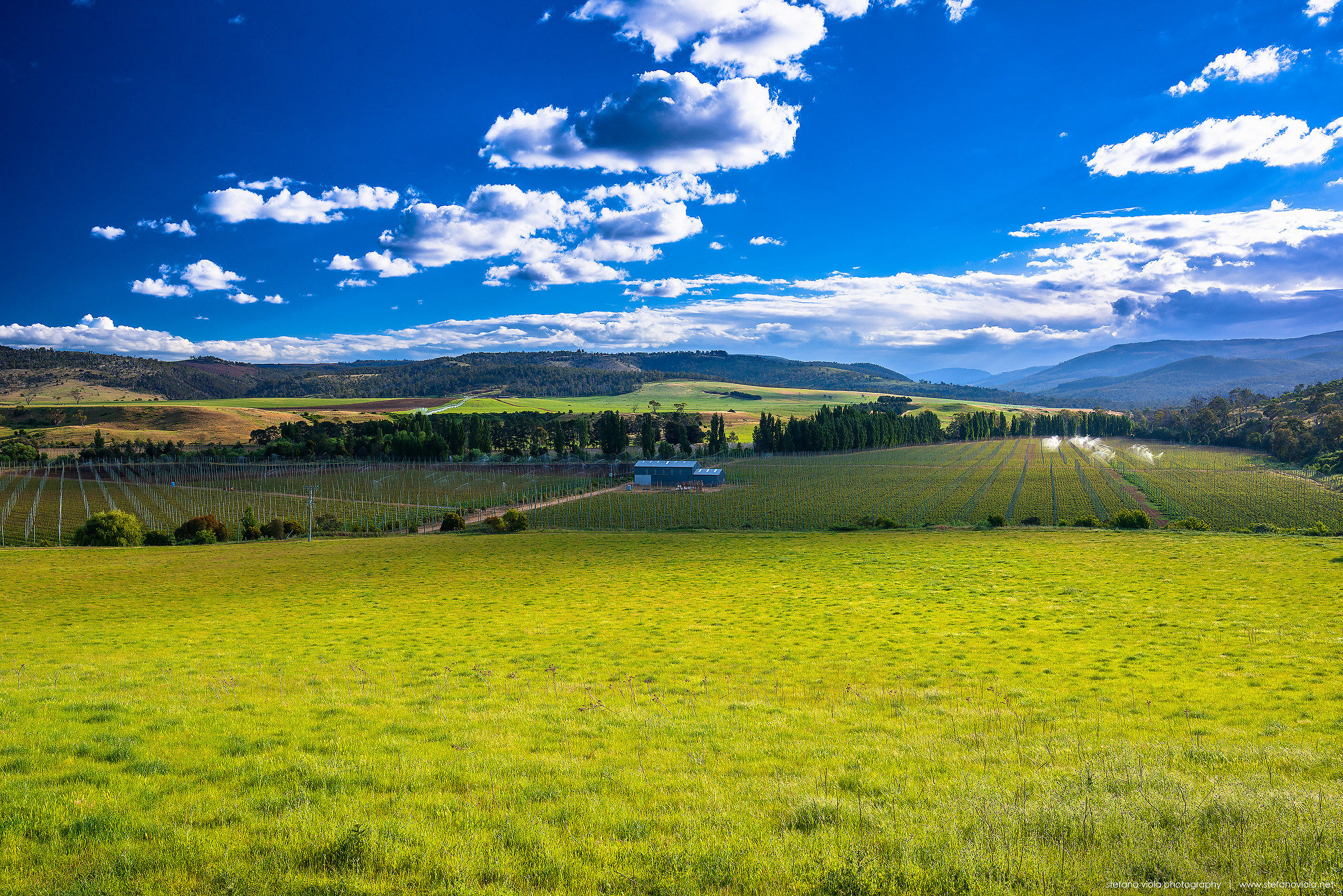 Bushy Park | Tasmania