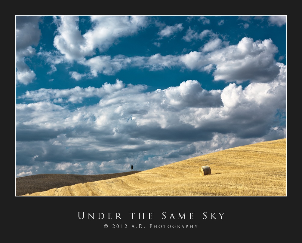 Under the Same Sky