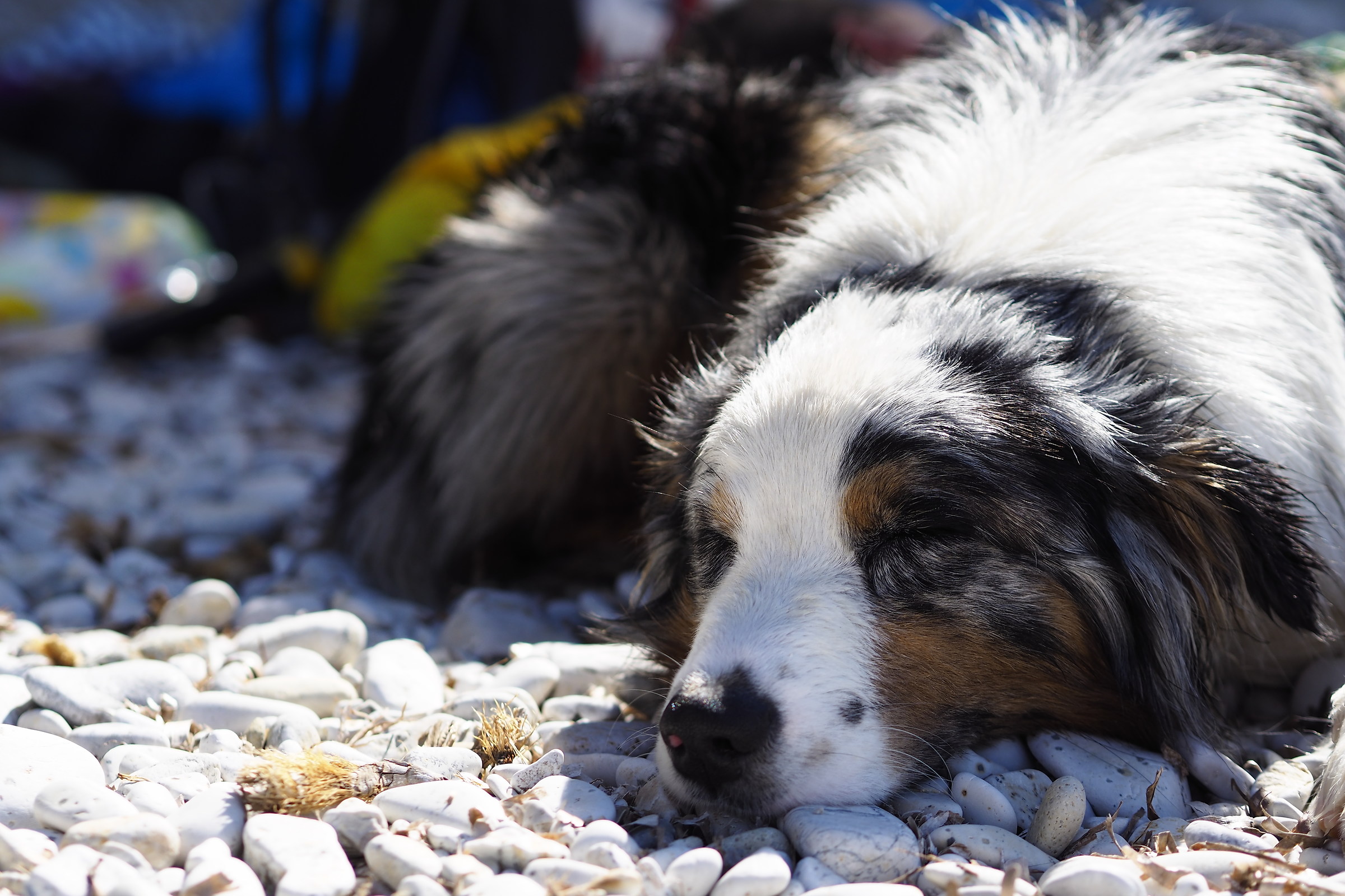 riposando al mare...