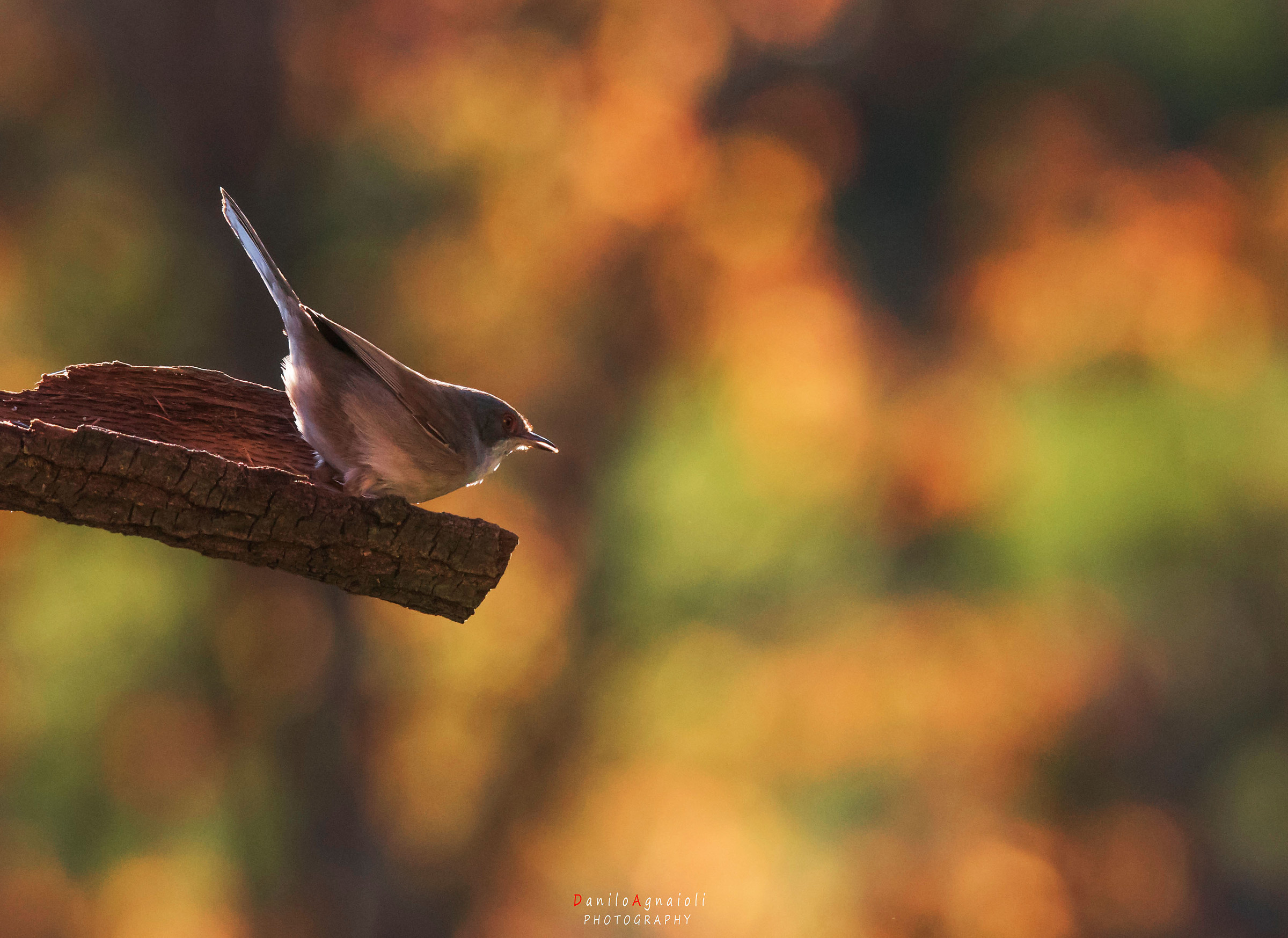 Looking at the future