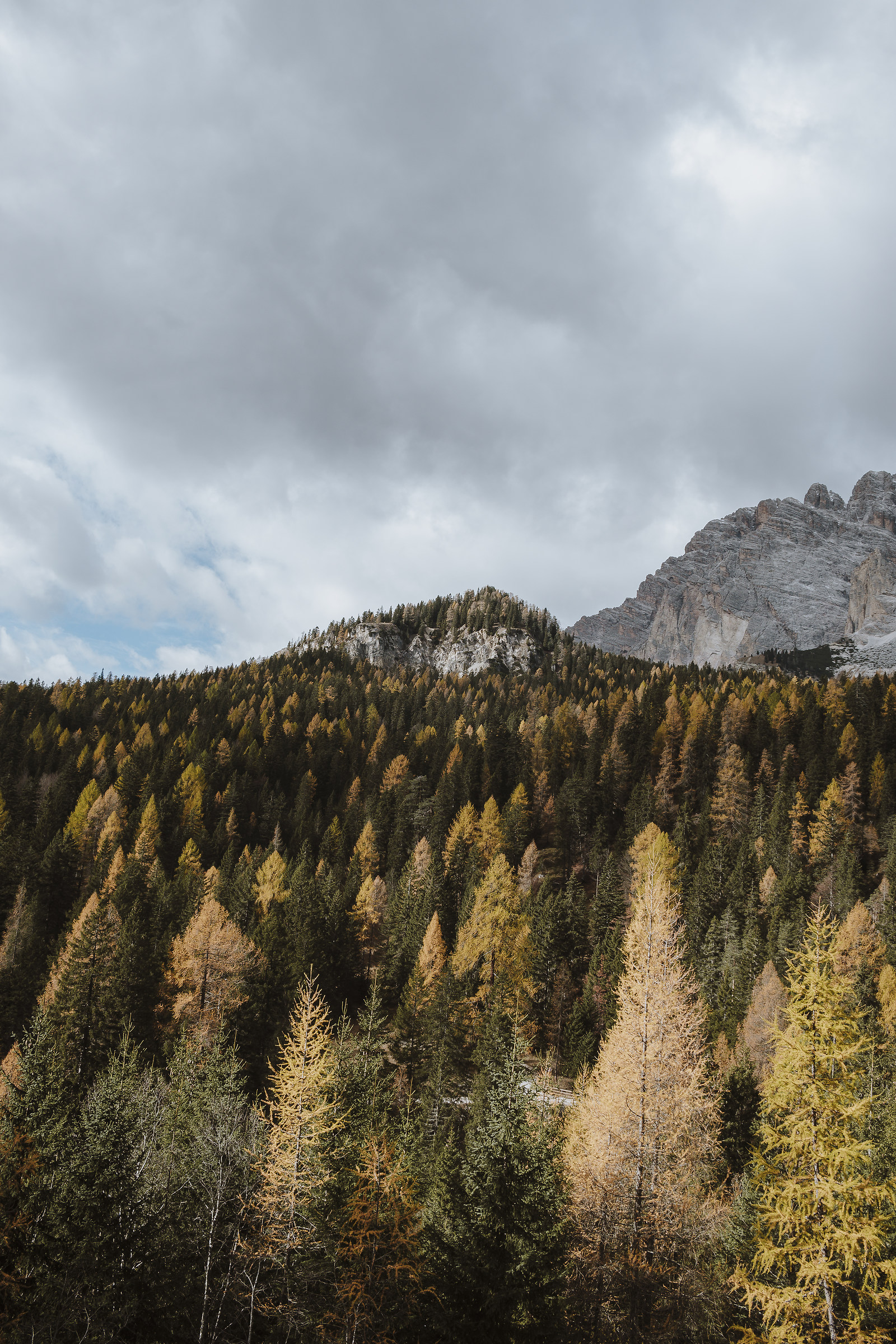 I colori dell'autunno
