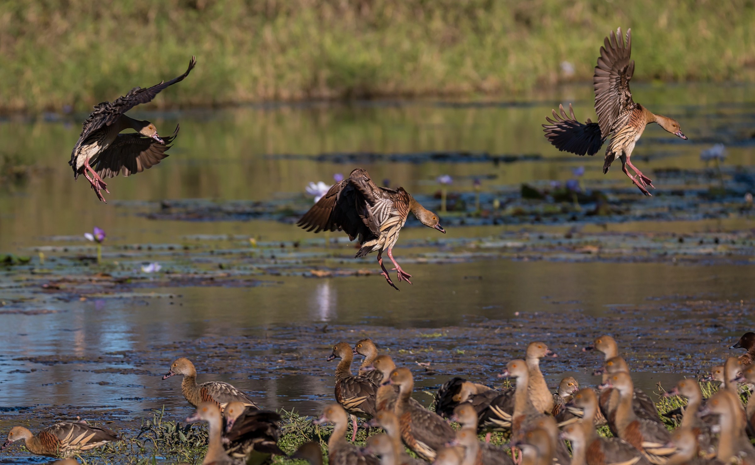 Two's Company, Three's a Crowd