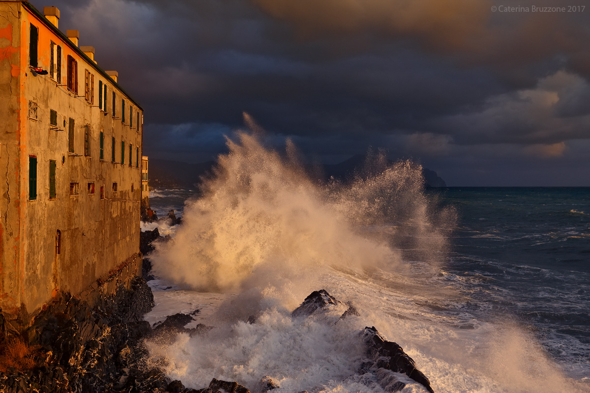 The house at the sea