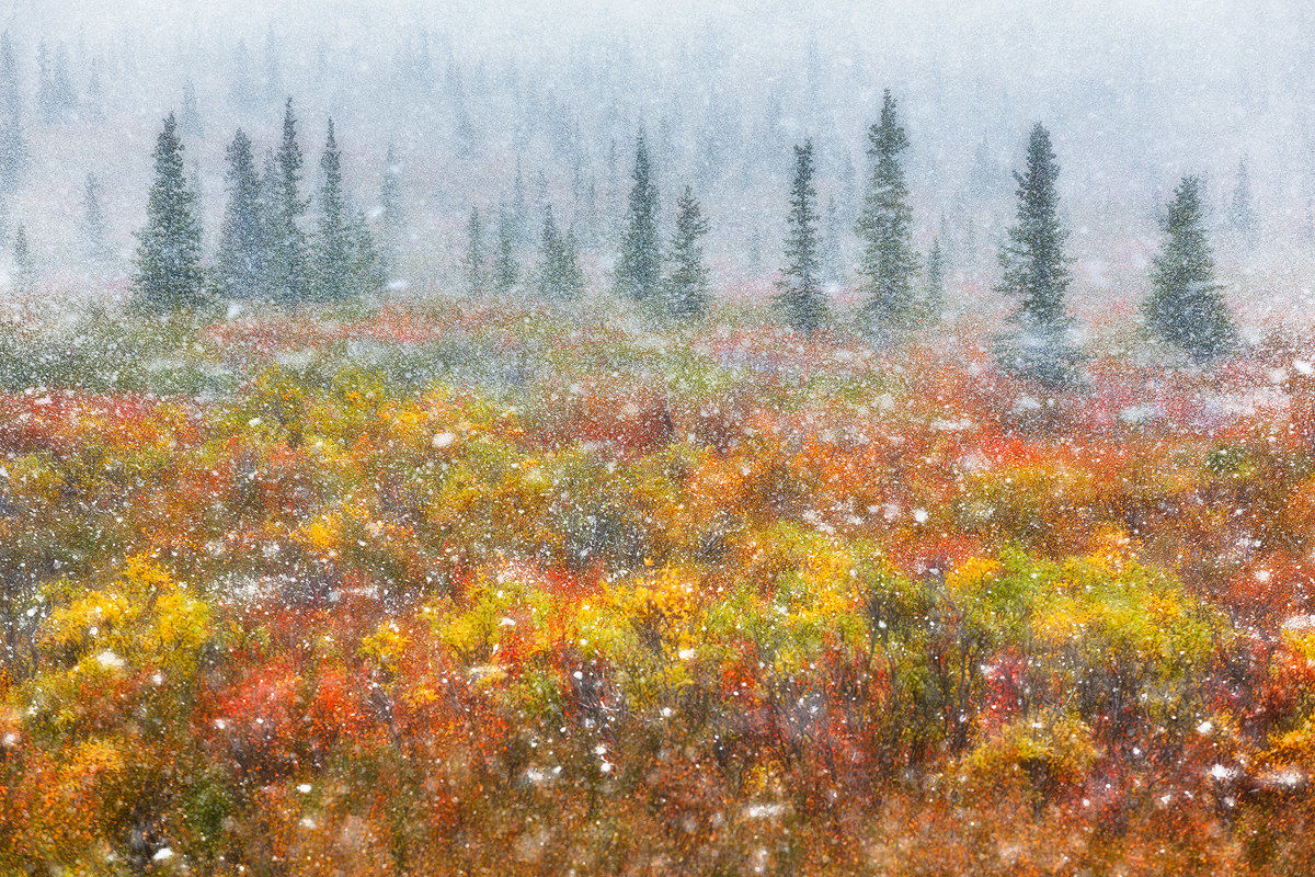 Meetings and contrasts