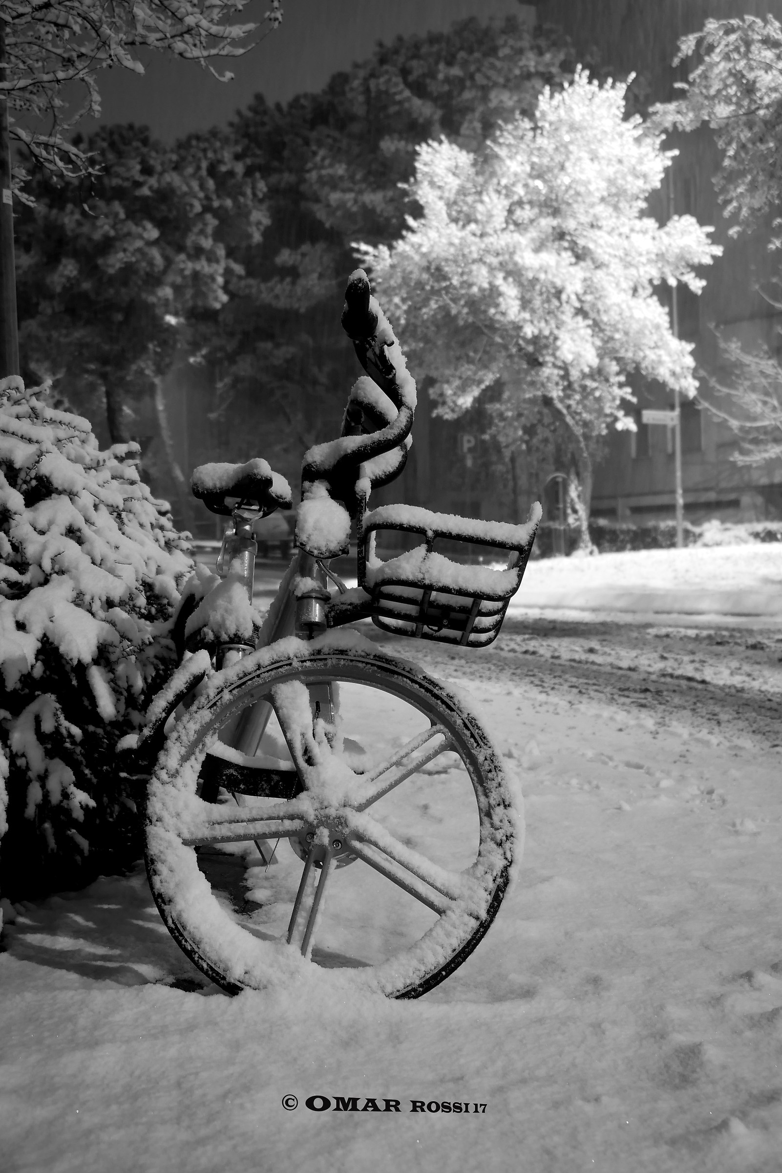 Bike sharing non per tutti