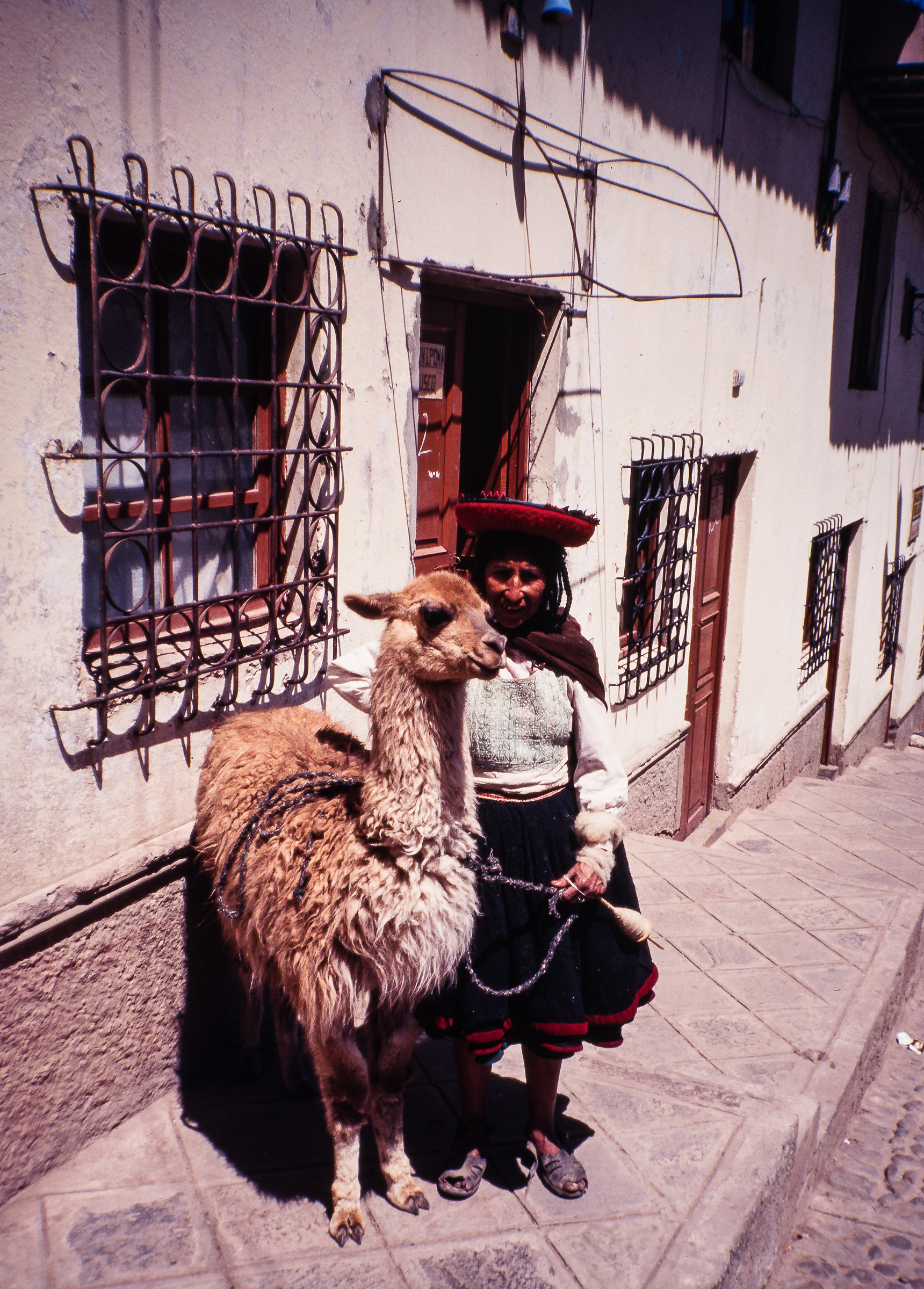 The Lady and the Lama