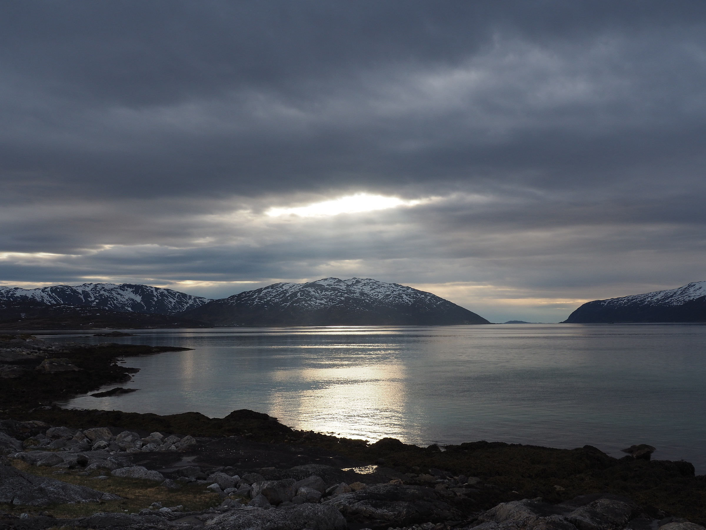 arctic summer and eternal light