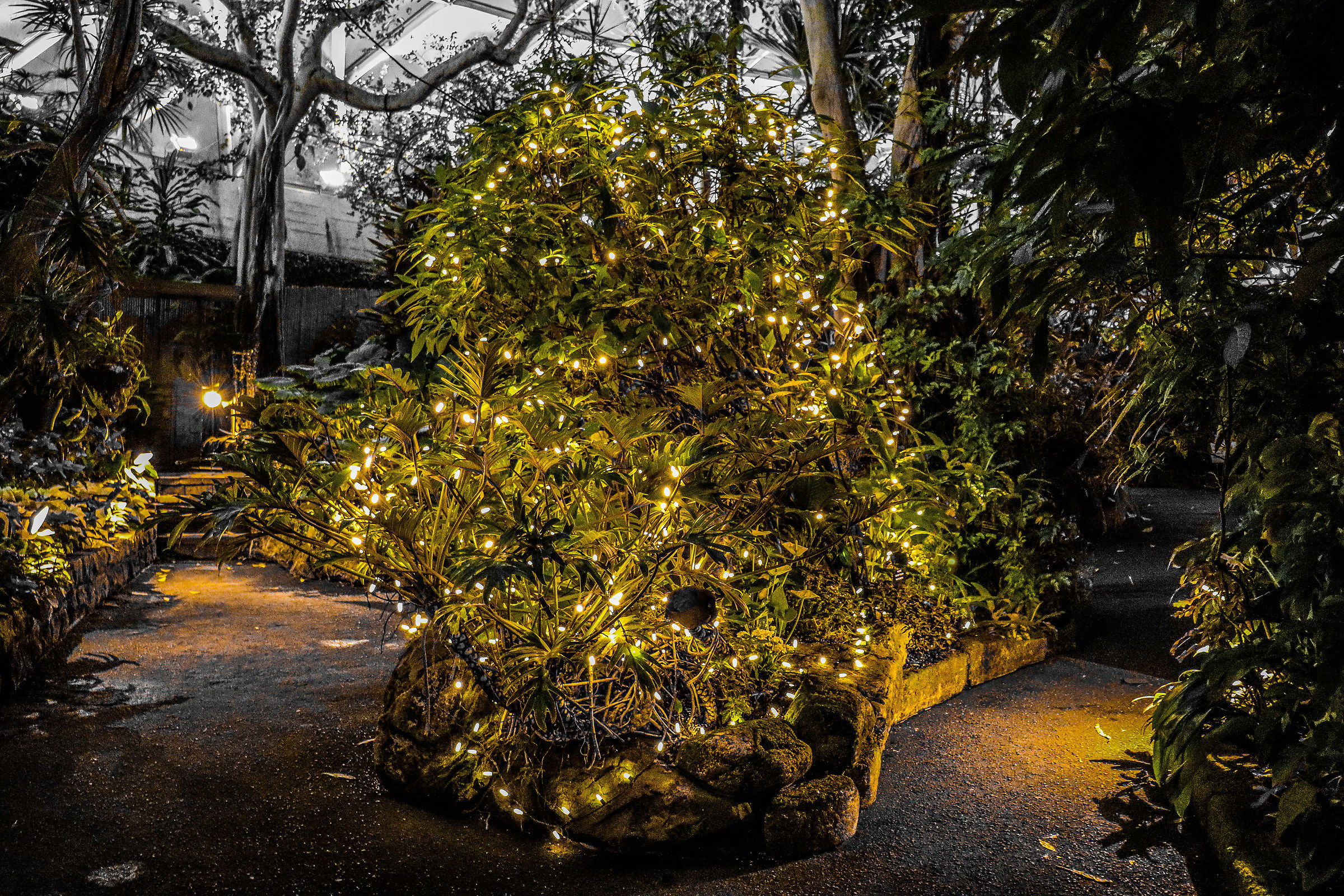 Queen Elisabeth Park