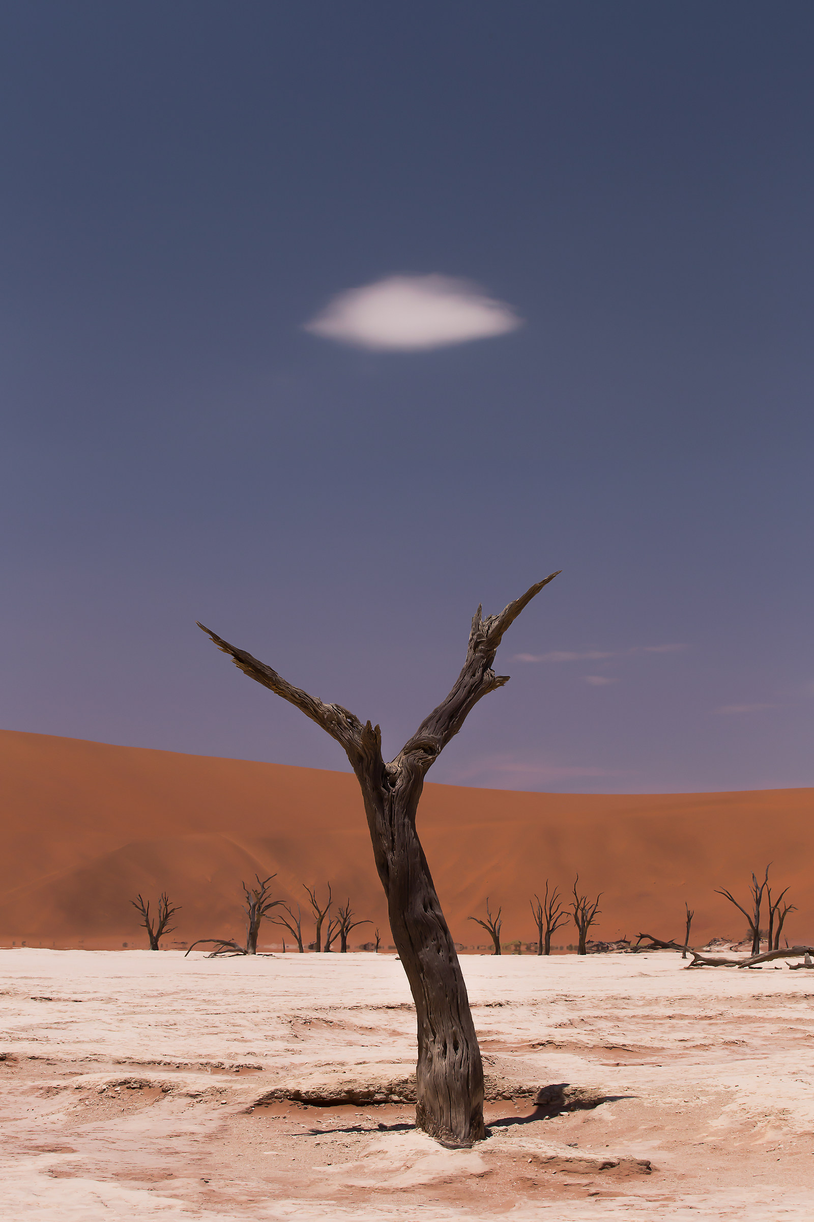 Deadvlei, Namibia, 2017