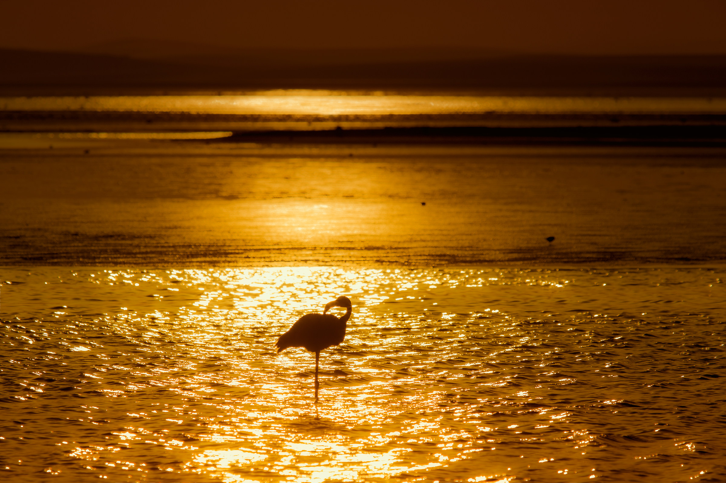Walvisbaai lagoon, Namibia, 2017.