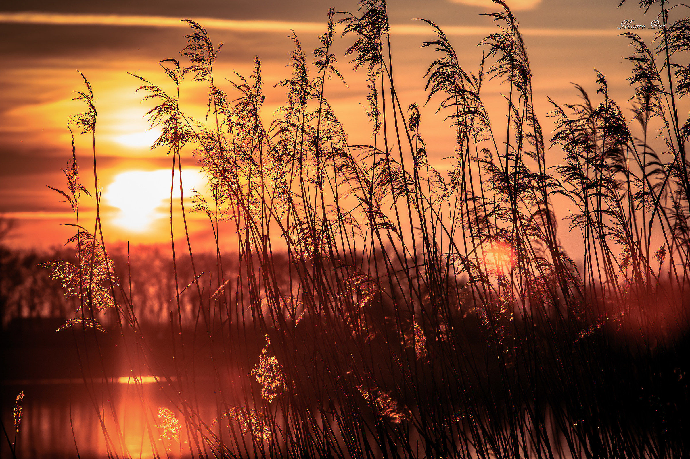 Sunset between the steppes on the Brenta basin