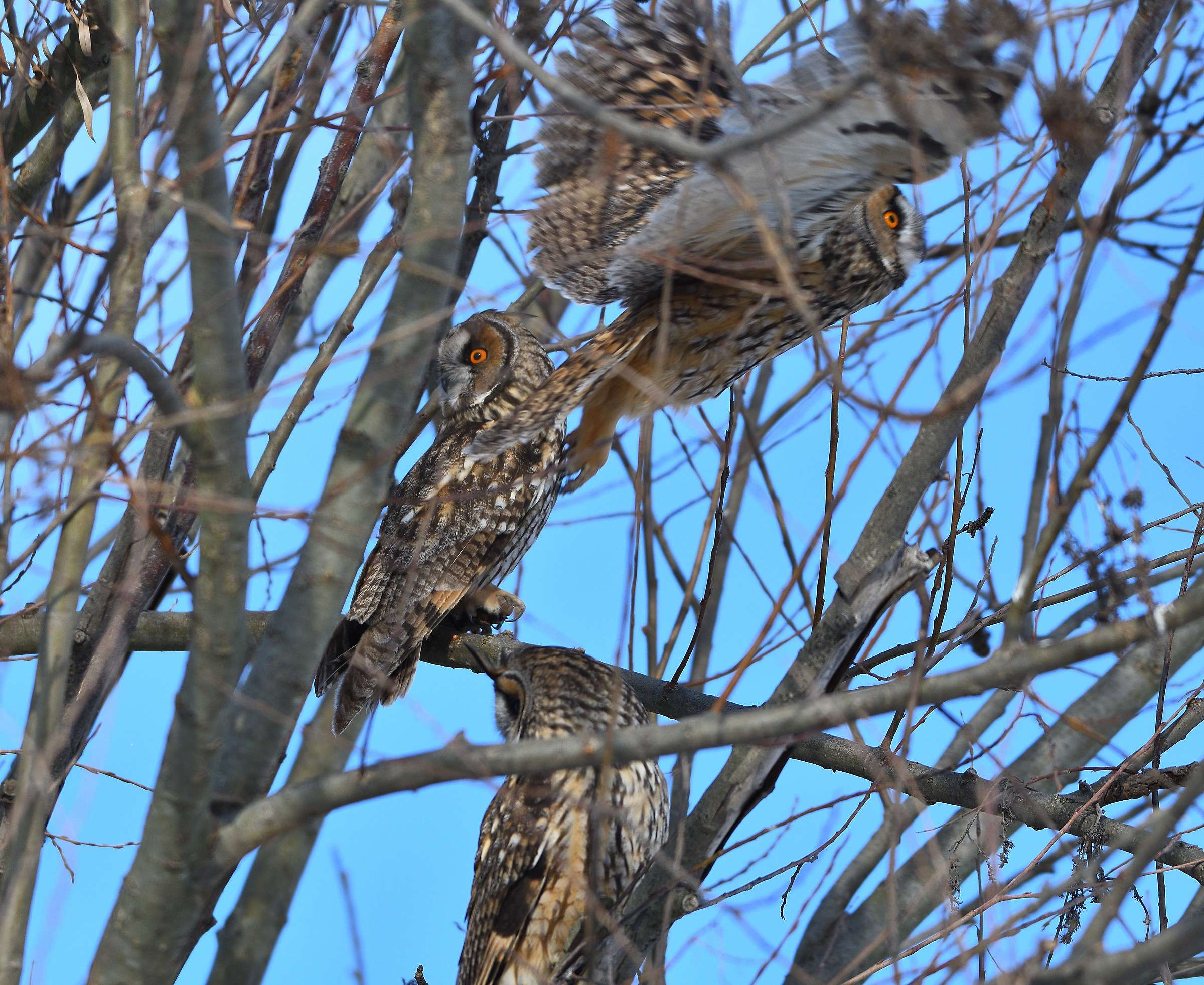 1...2...3... pronti...partenza...via!