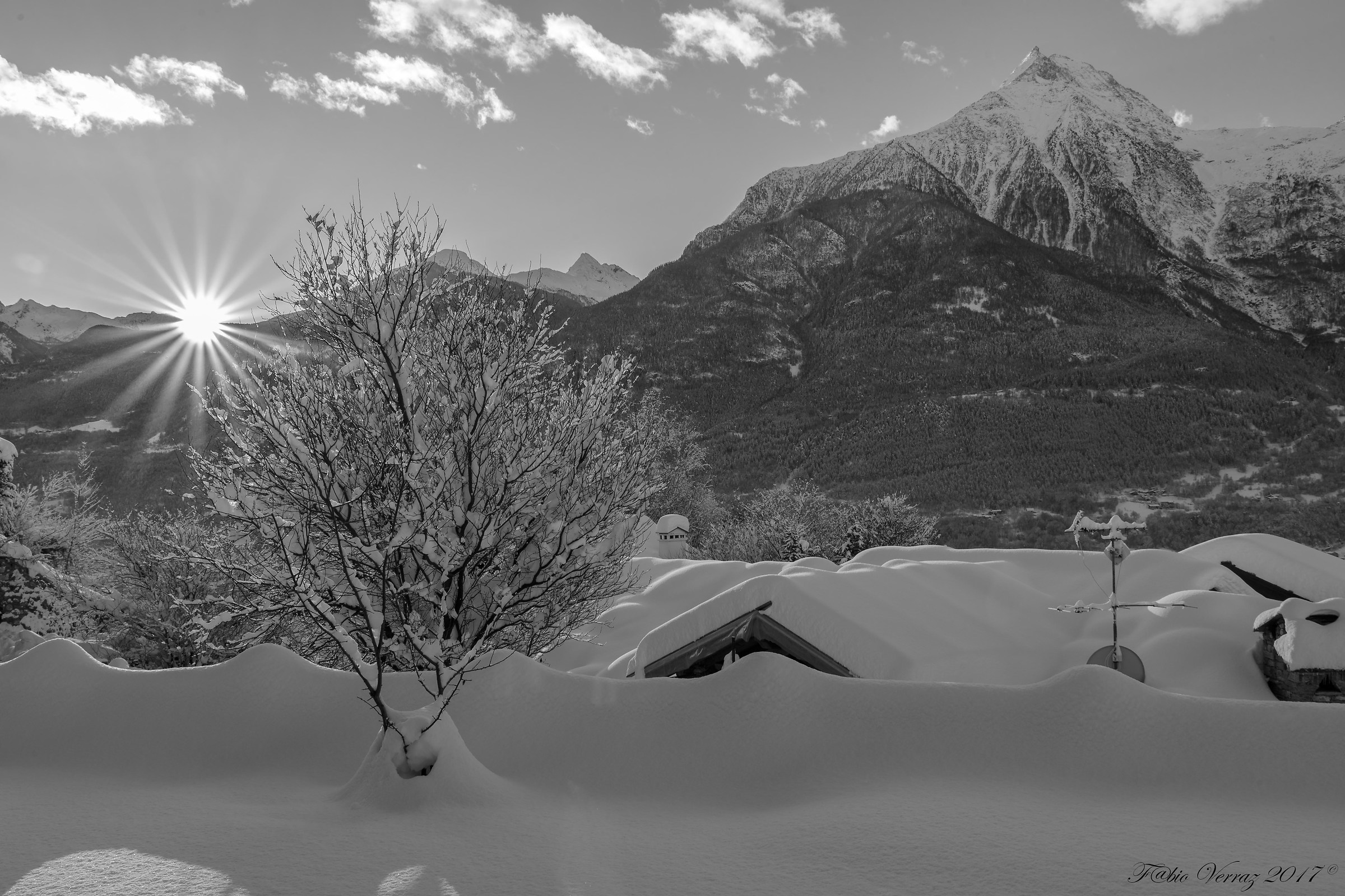 Snowy Aosta