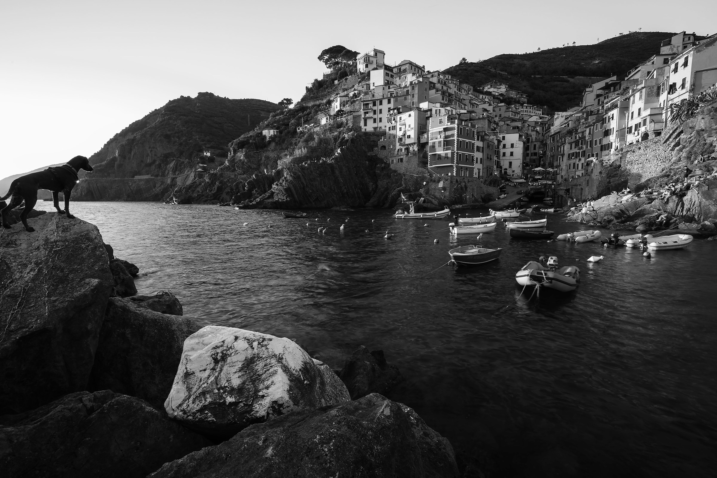 Riomaggiore White & Black