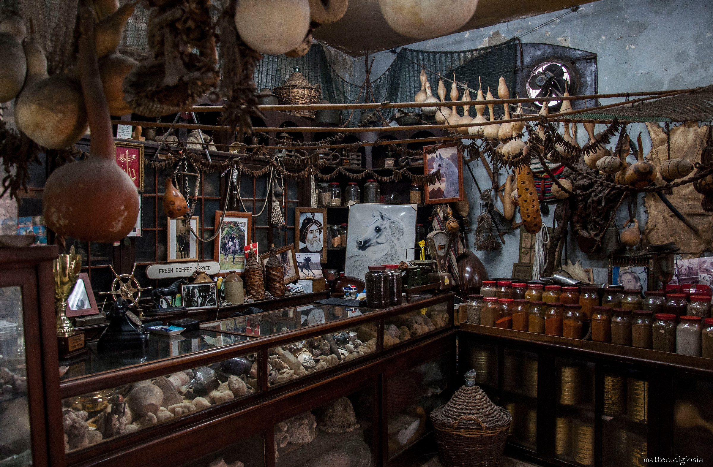 Shop of unidentified objects